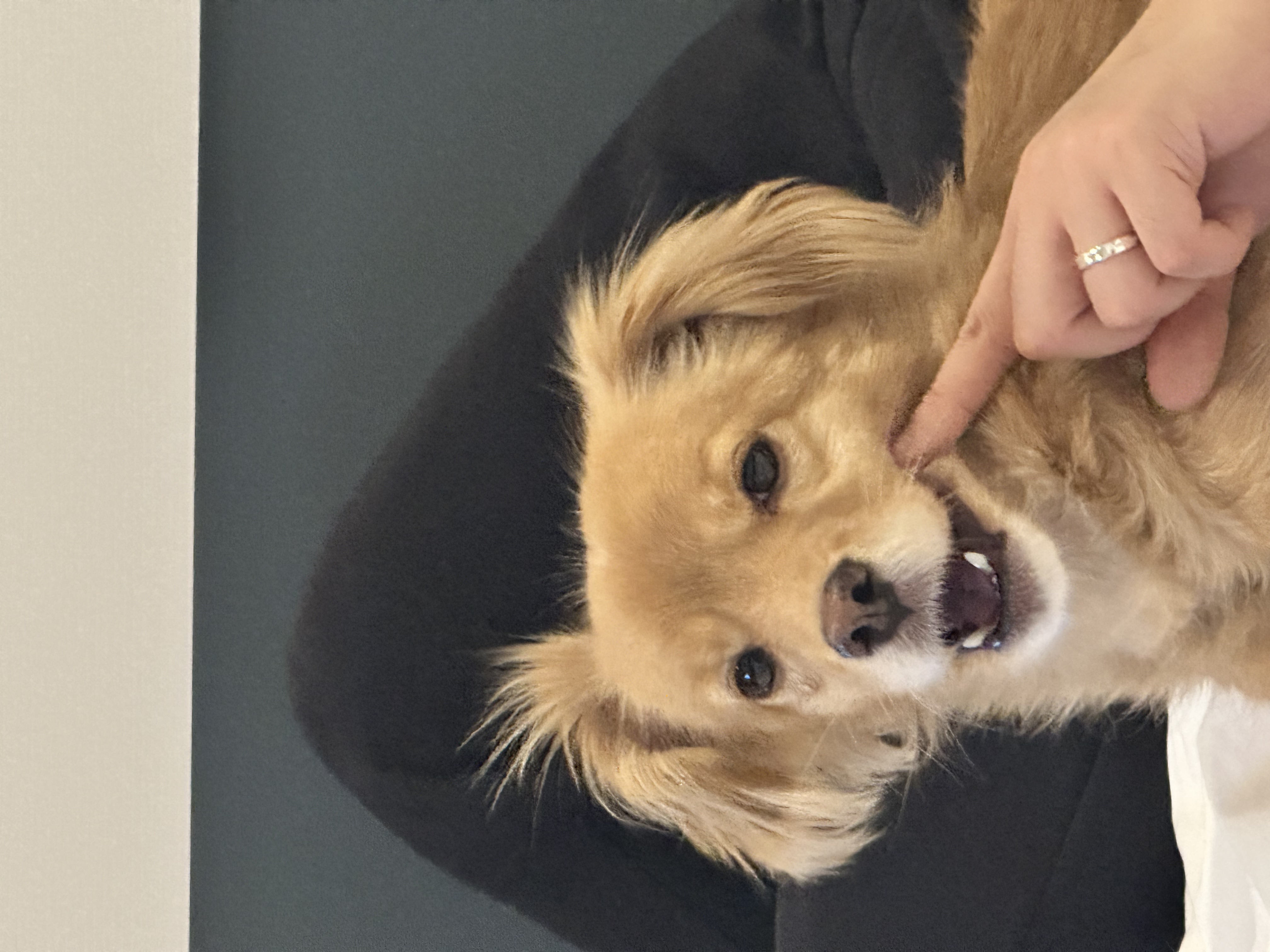 드디어 1주년 축하해 아코야!!