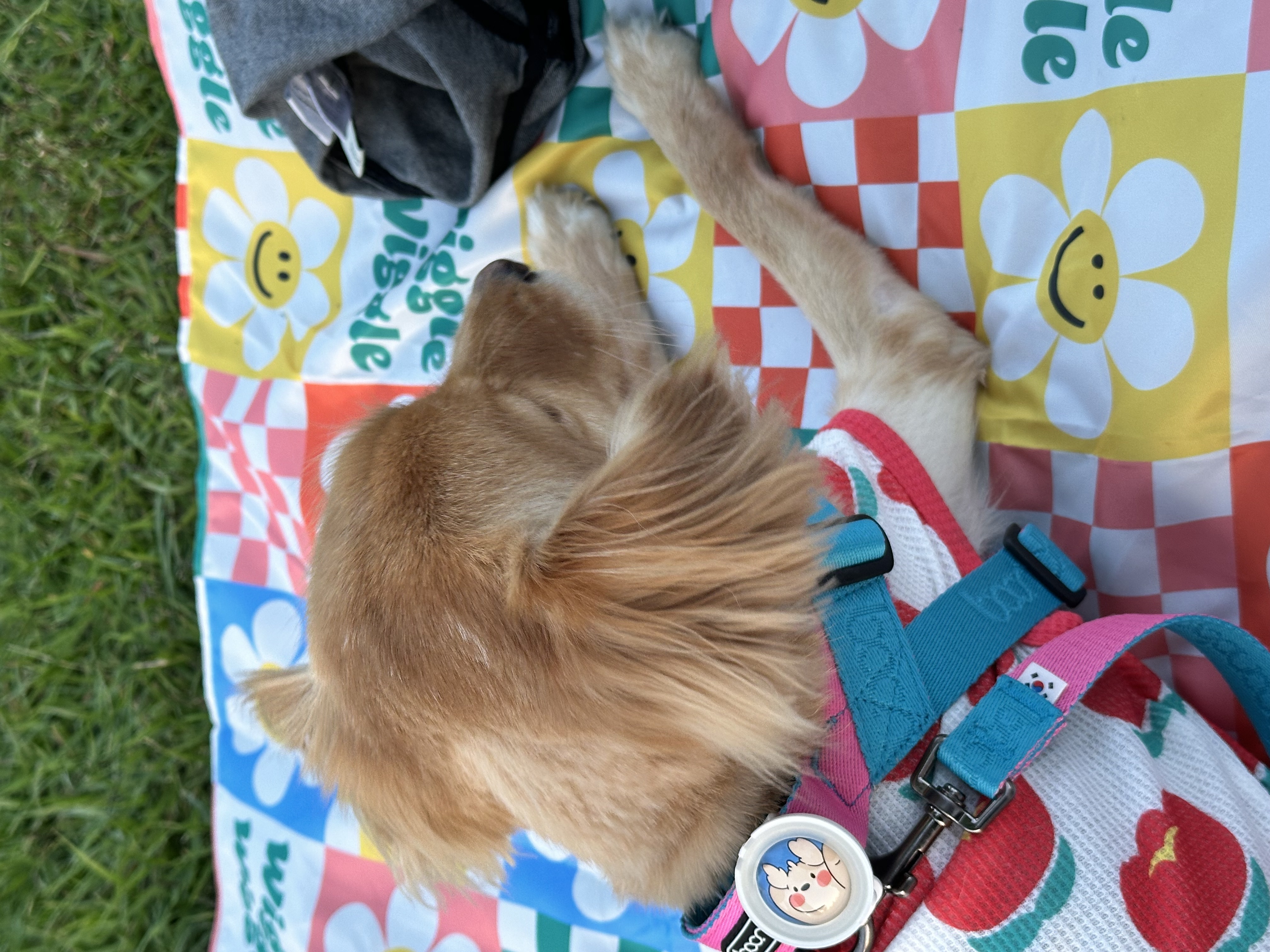 드디어 1주년 축하해 아코야!!