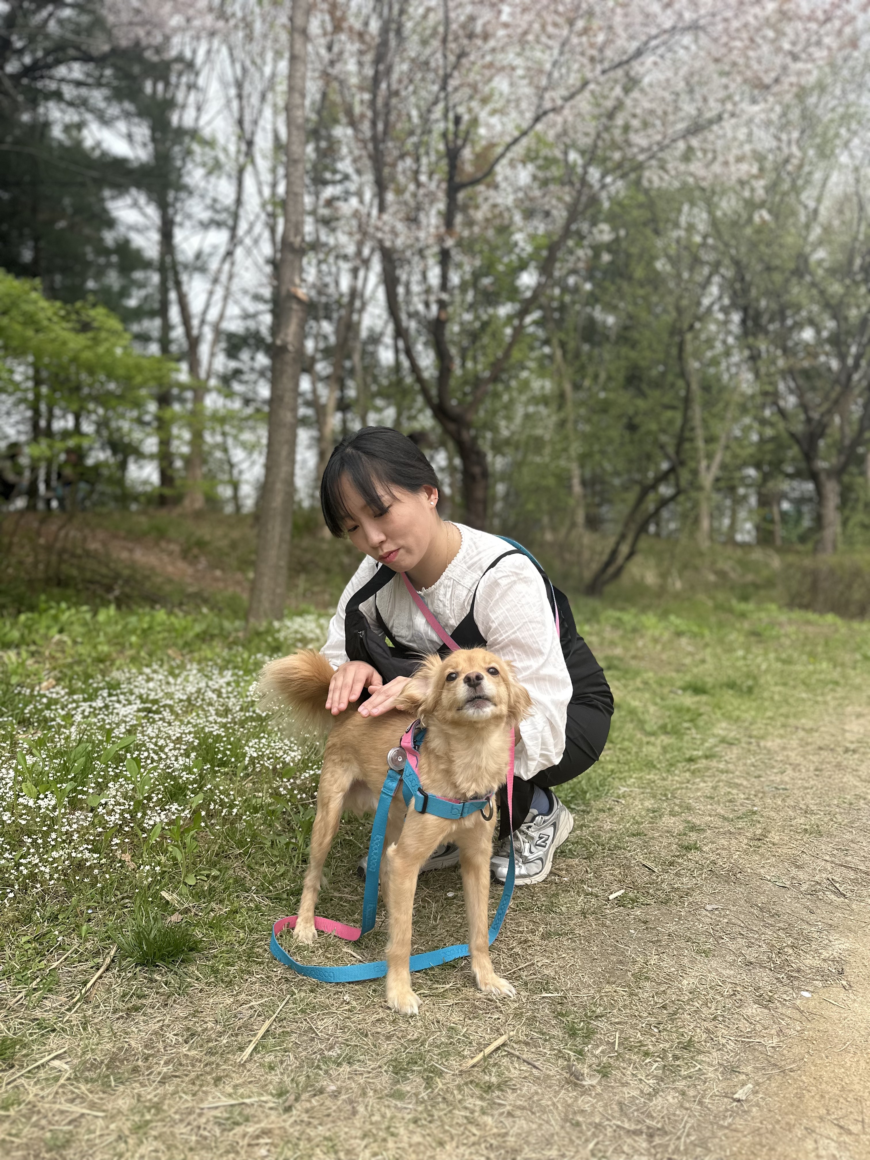 드디어 1주년 축하해 아코야!!