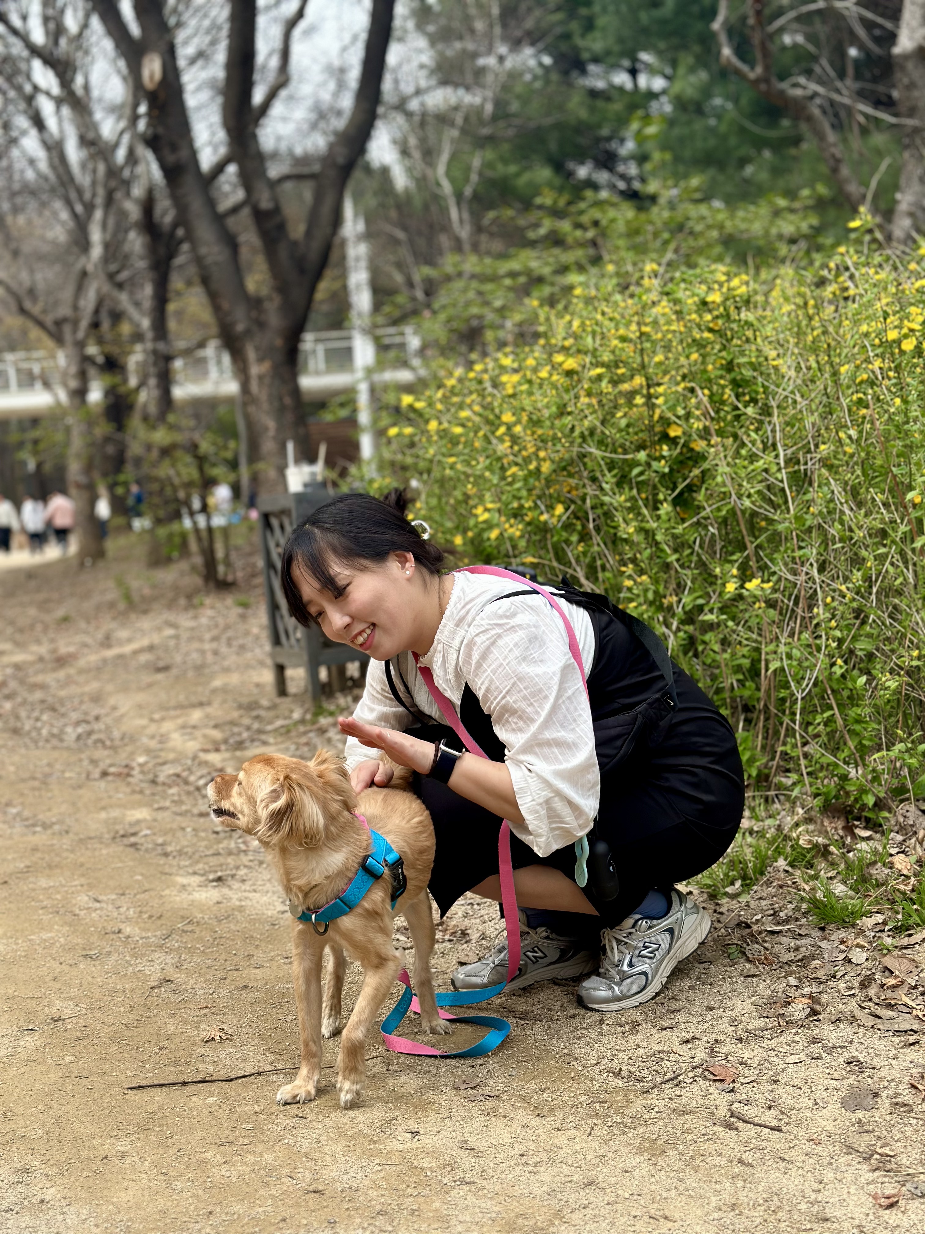 드디어 1주년 축하해 아코야!!