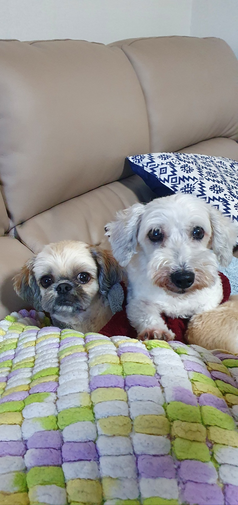 뿅이 무지개다리건너다