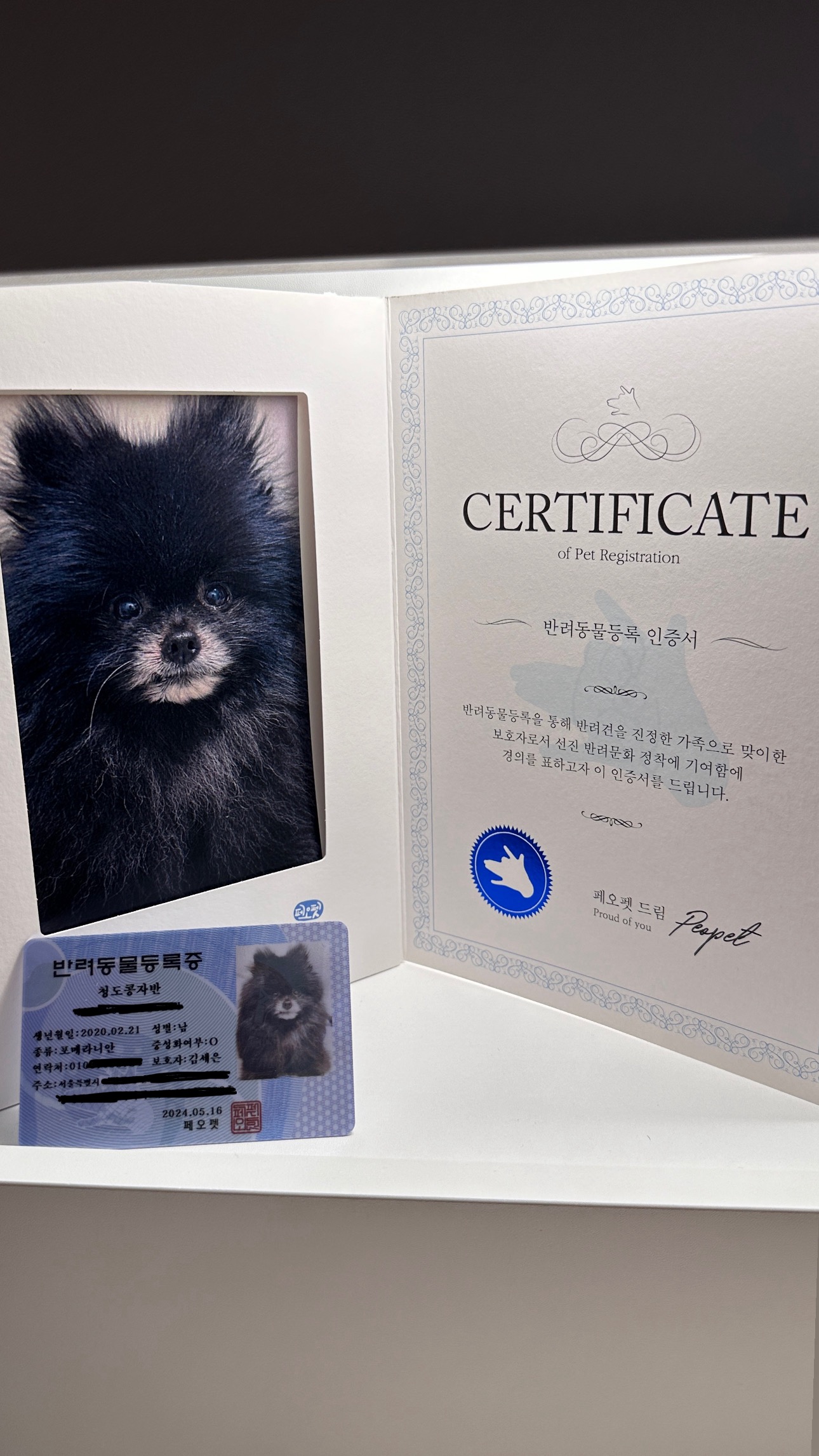 하포 -> 청도콩자반 입양 일주일차