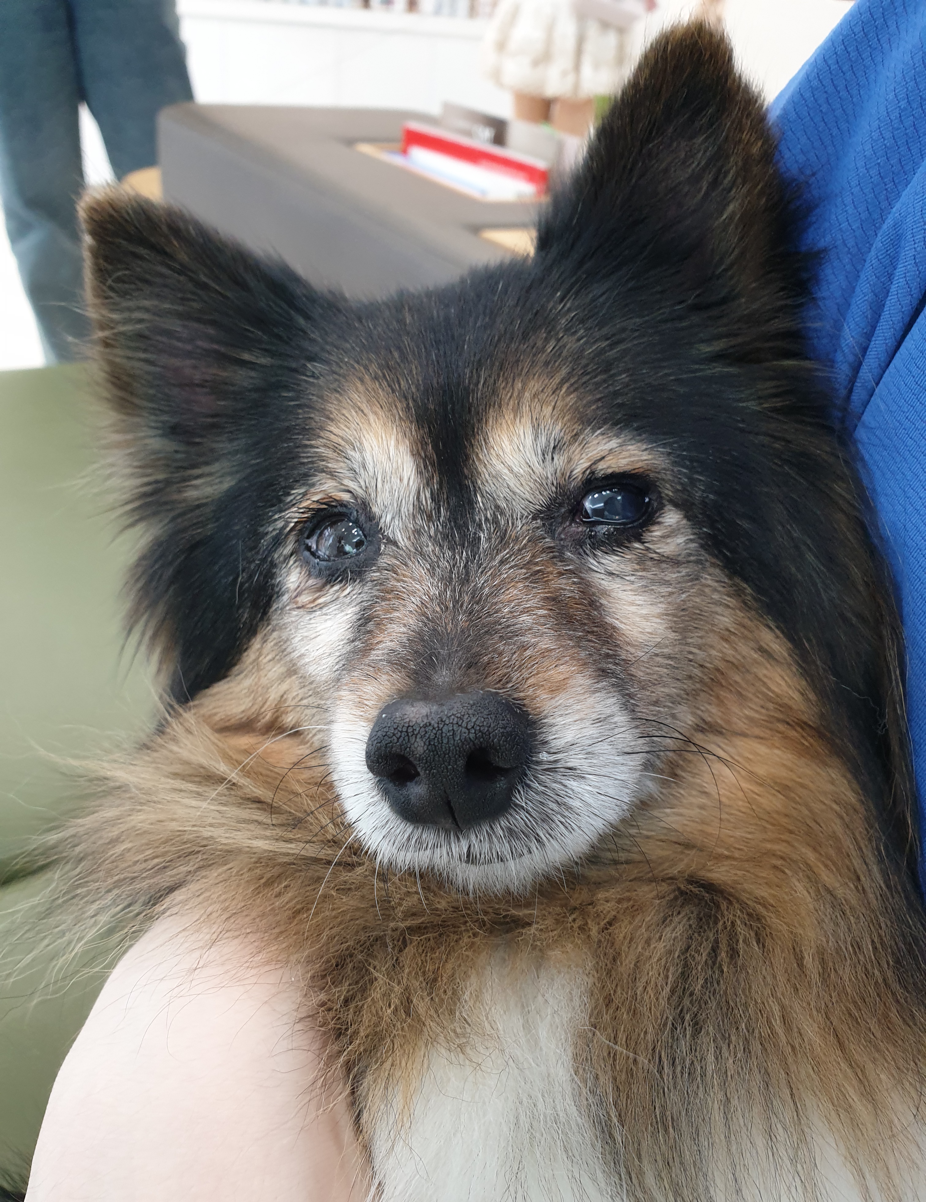 베를린이 15살이 되었어요