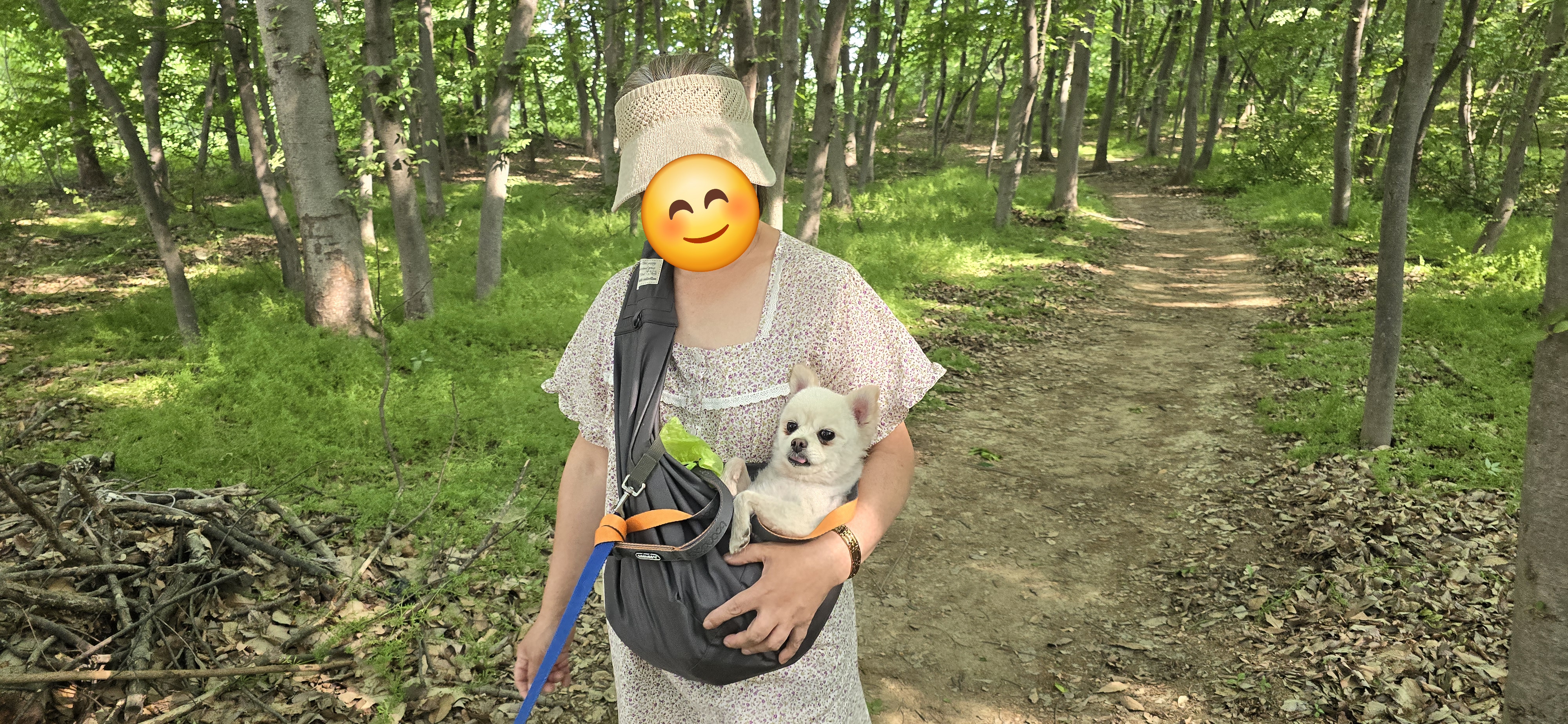 하뽀(봄이) 임시보호 한달째 후기입니다