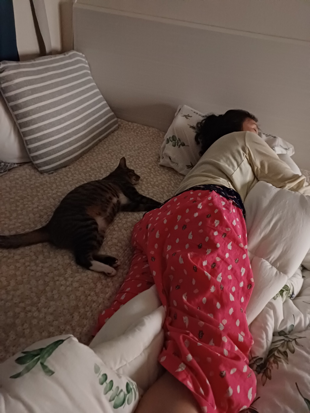 뚠뚠땡땡 고양이 길동이(승희)가 집에온지 7개월이 지났어요