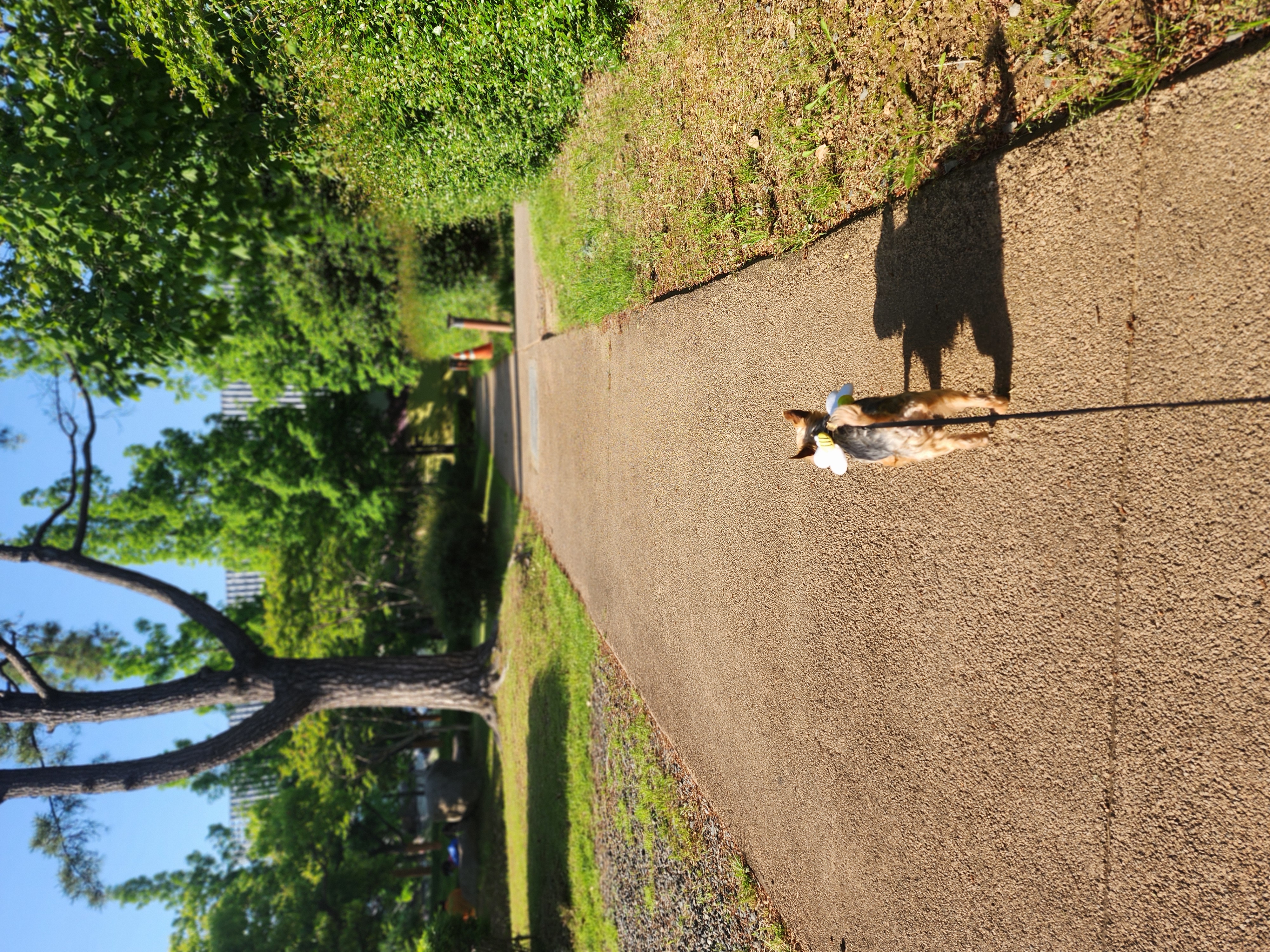 뽀테 임보 한달기