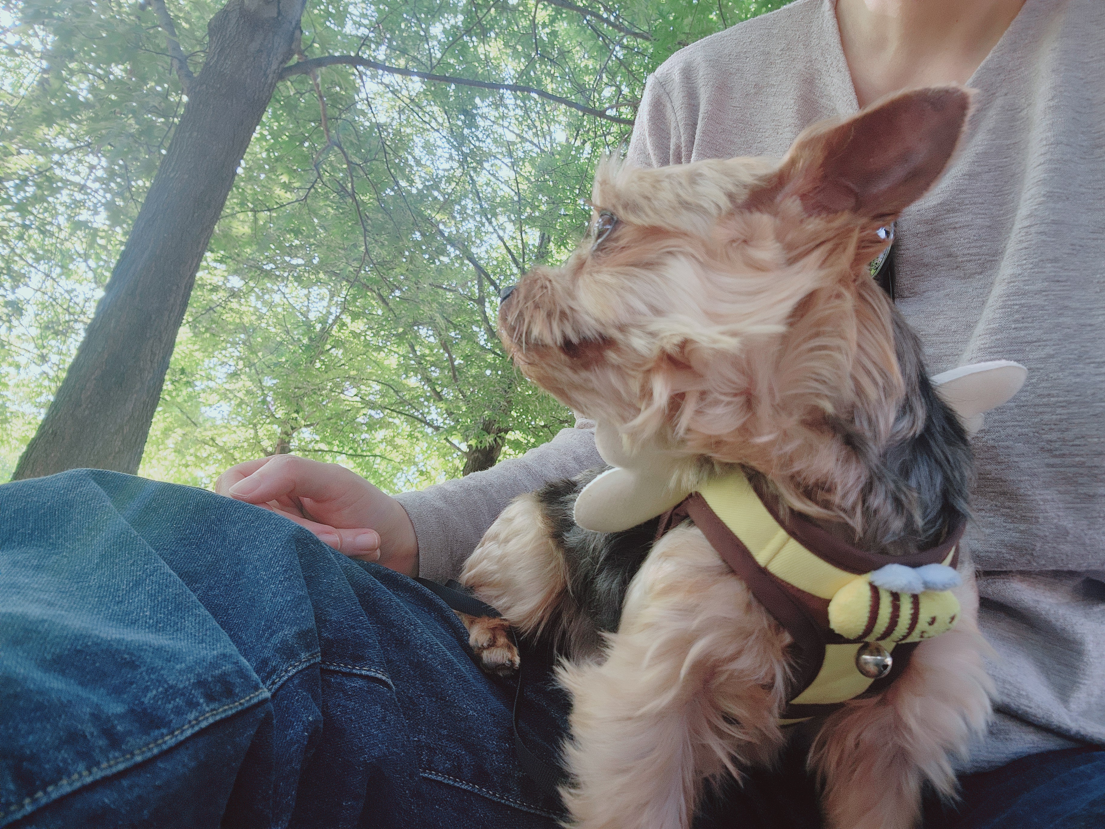 뽀테 임보 한달기