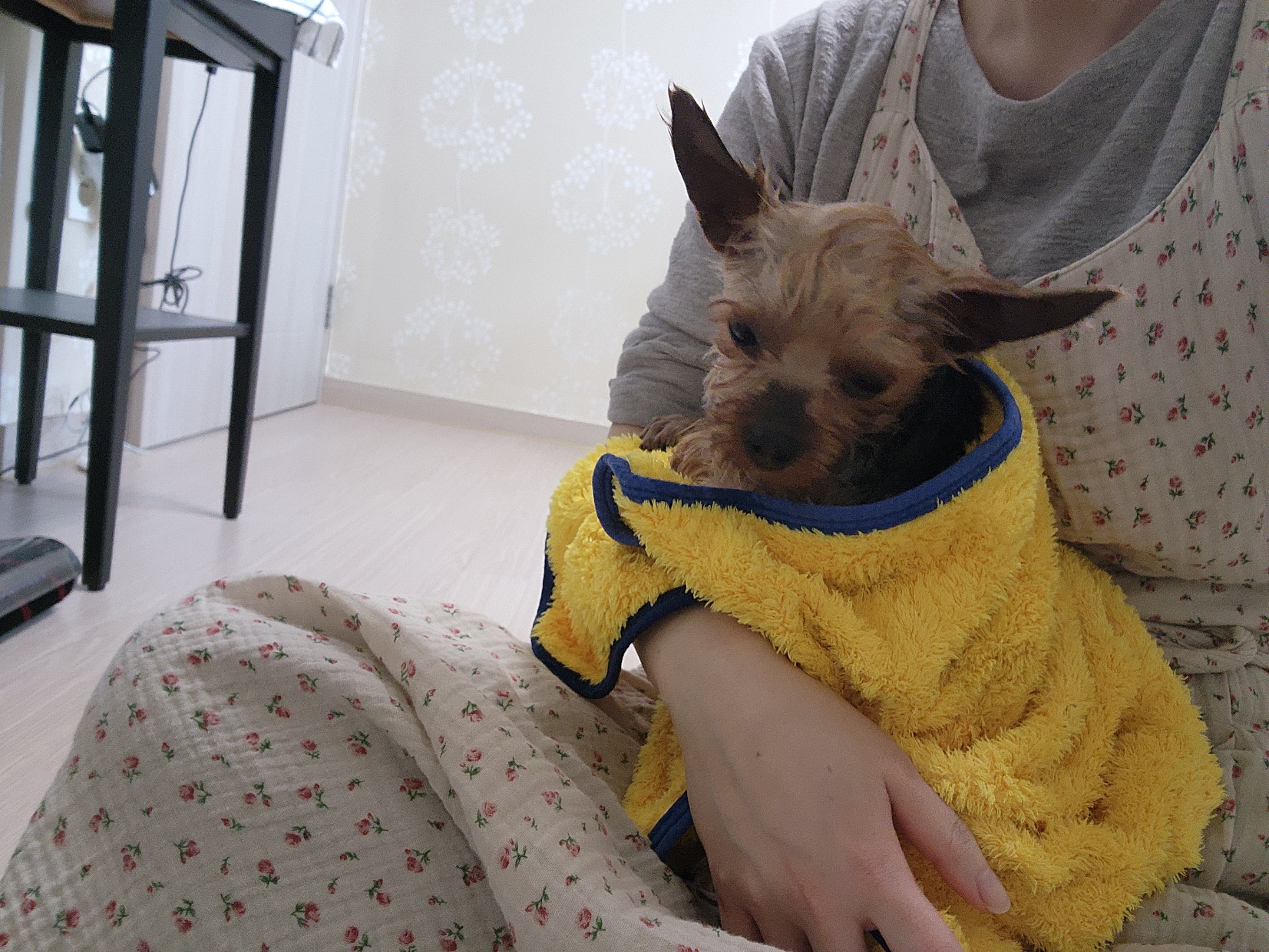 뽀테 임보 한달기