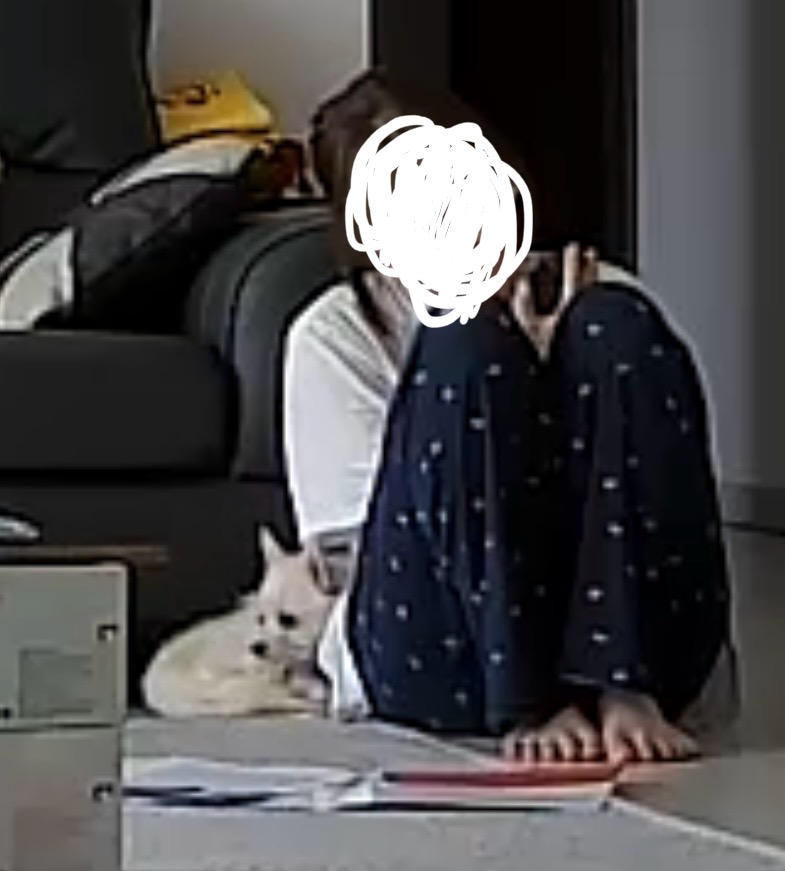 보령-103 포요 임보 일주일 후기