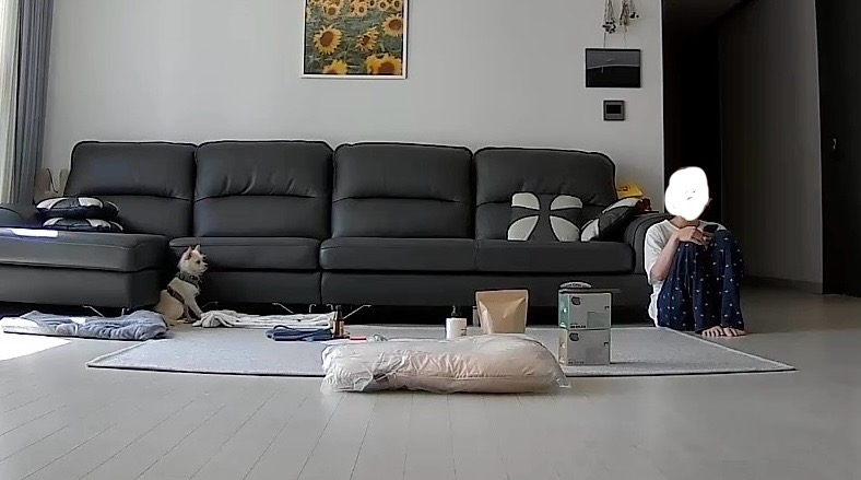 보령-103 포요 임보 일주일 후기