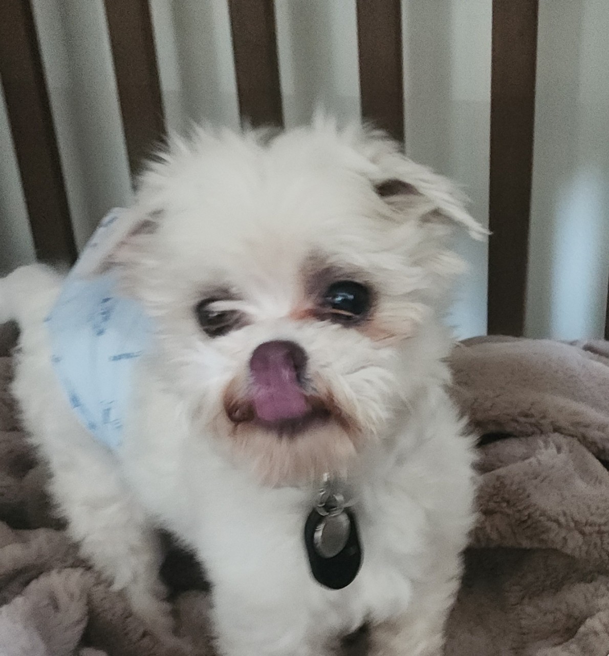 예티 임보 일주일차