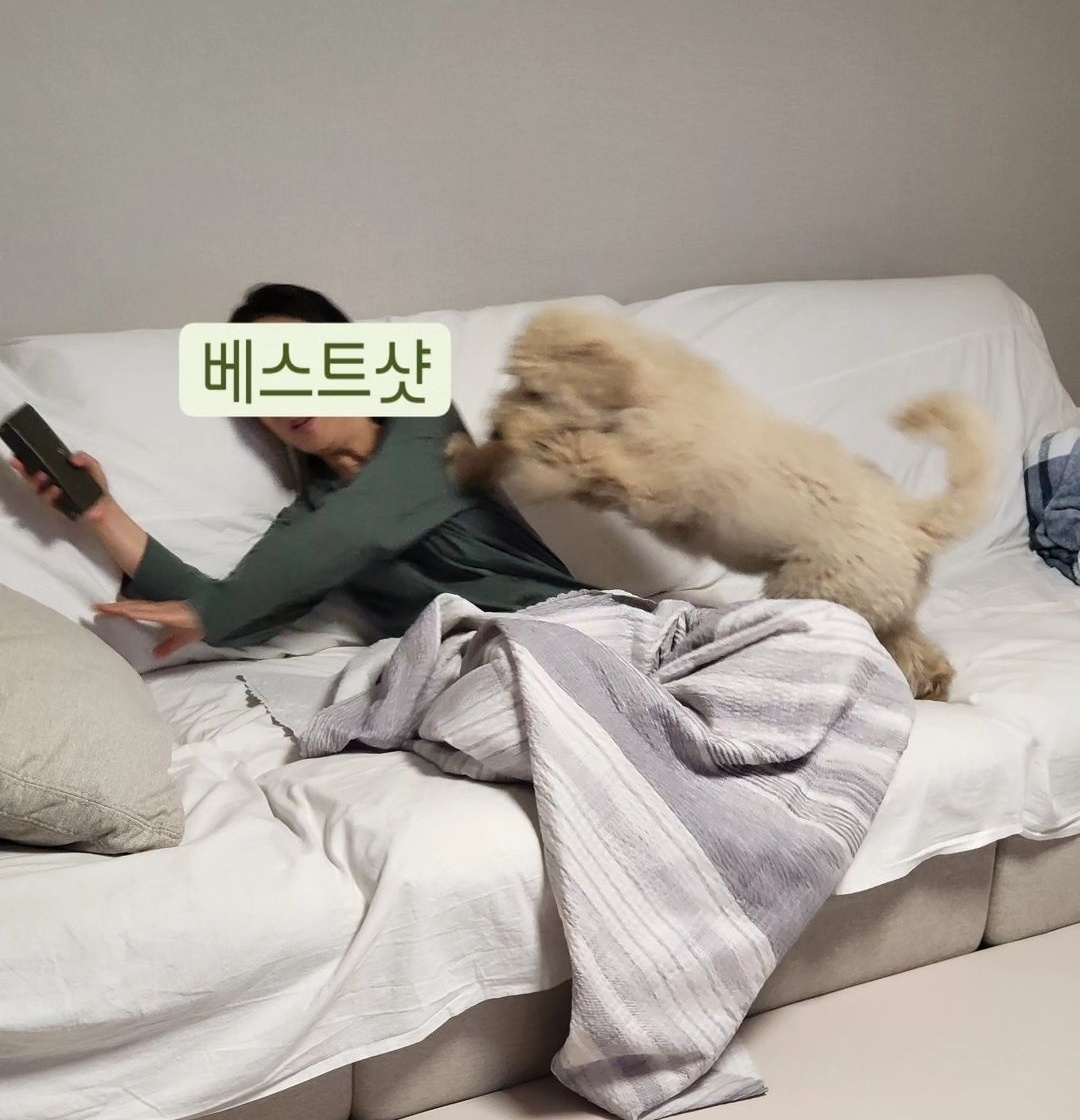 조루이 (푸돌이) 한달 입양기 입니다