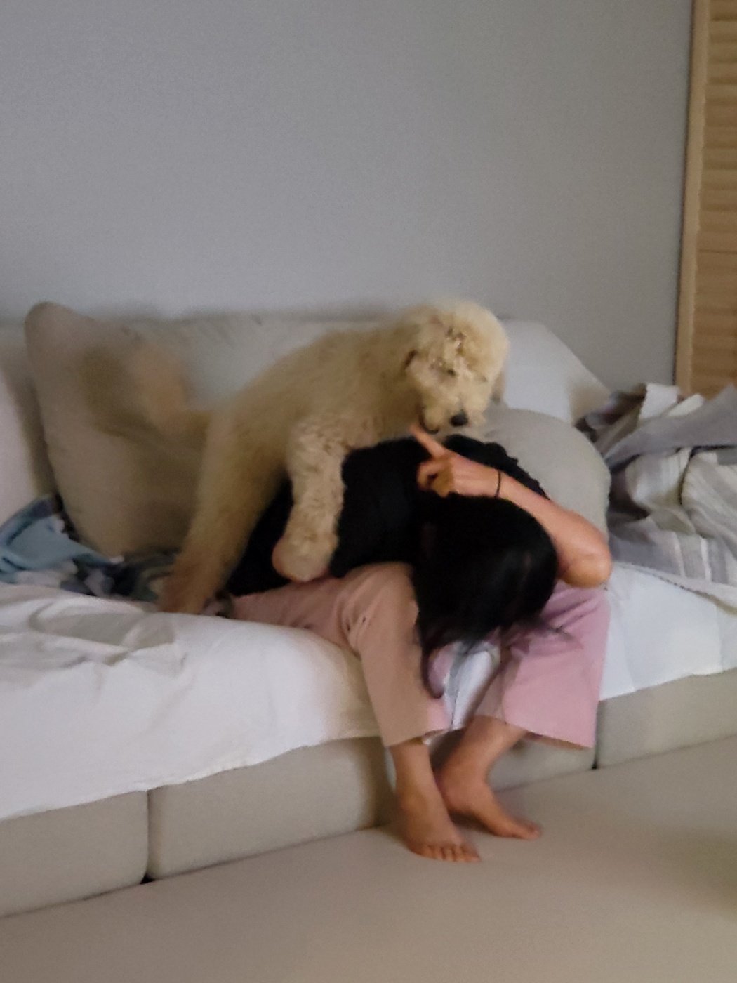 조루이 (푸돌이) 한달 입양기 입니다