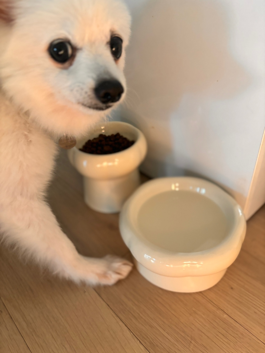 뽀해 임보이야기