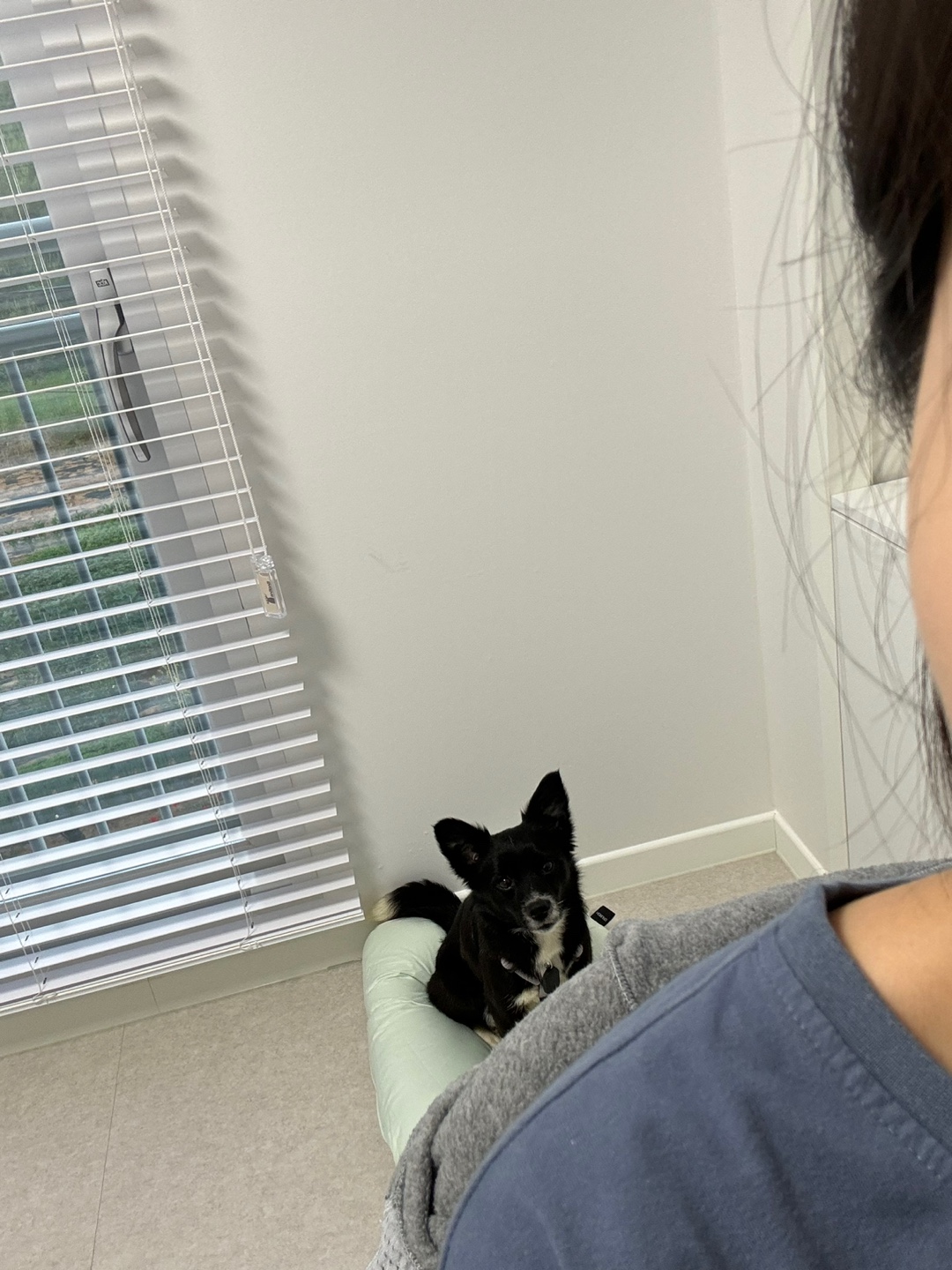 까콩이 임시보호 일주일 이야기