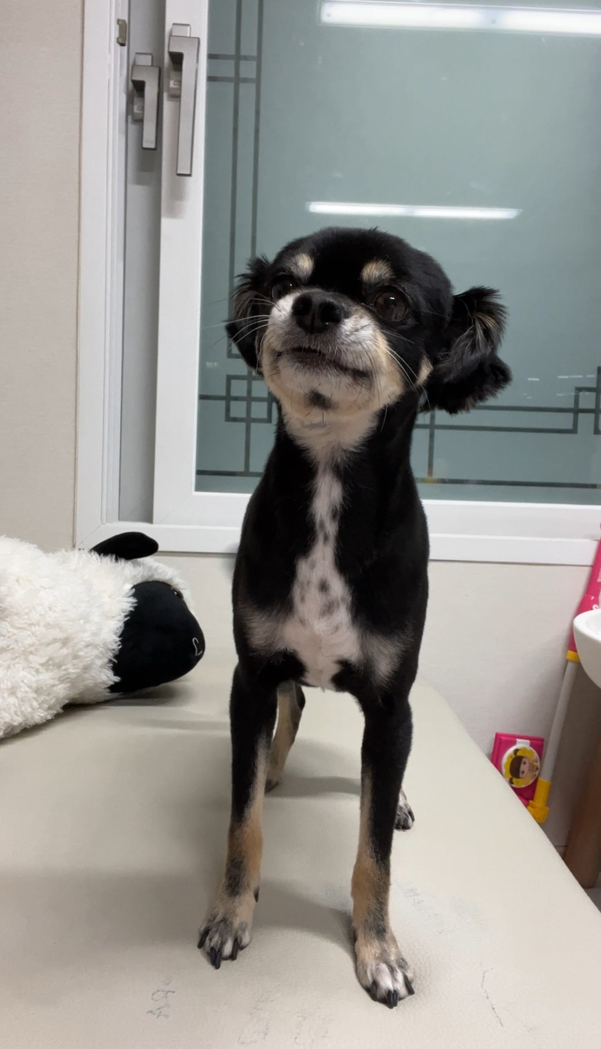 안녕하세요 깜뭉이네입니다:)