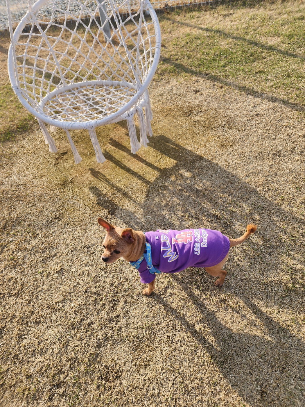 곤지(영천 푸푸 아가 뽀오)