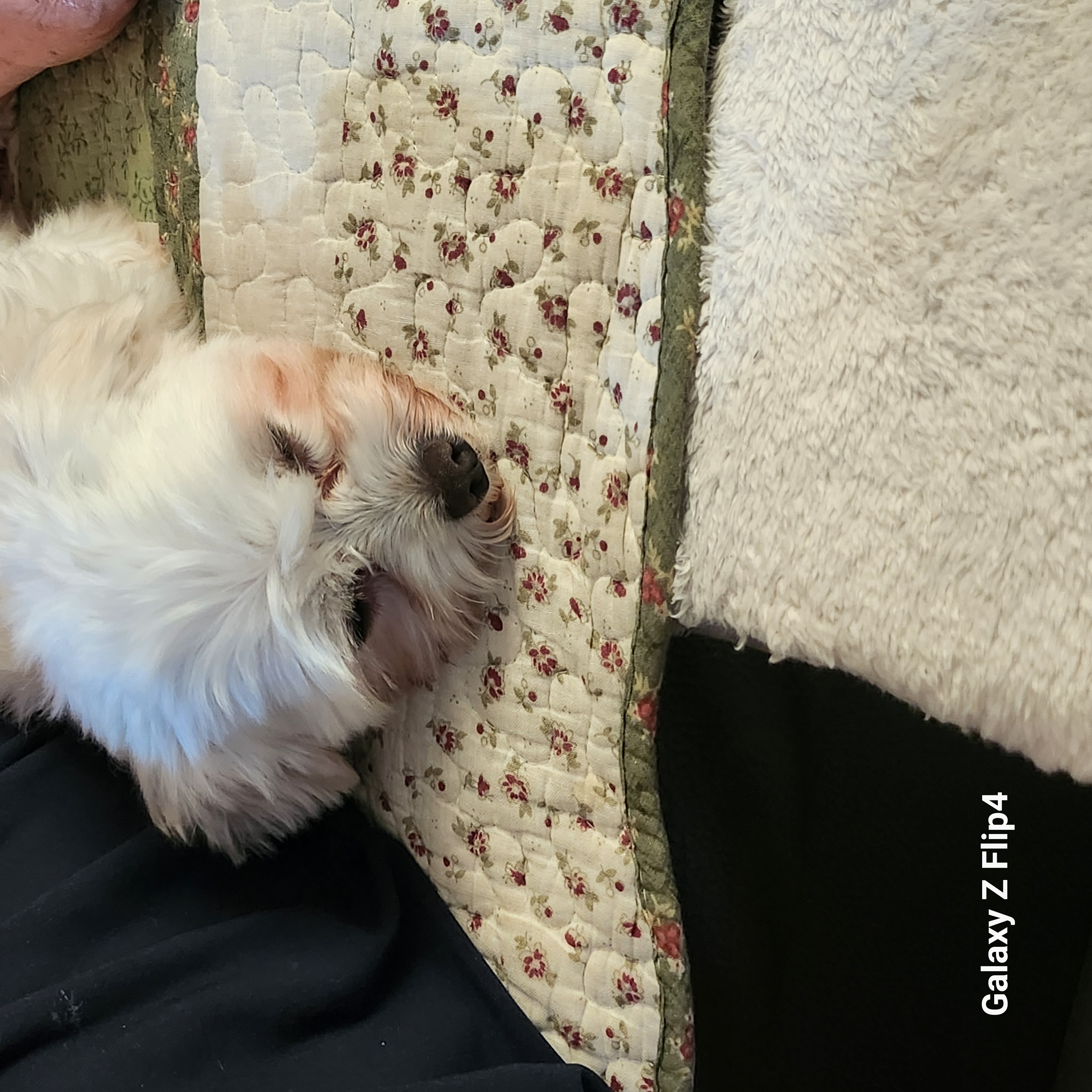 아직은 낮설군요~ (마린)