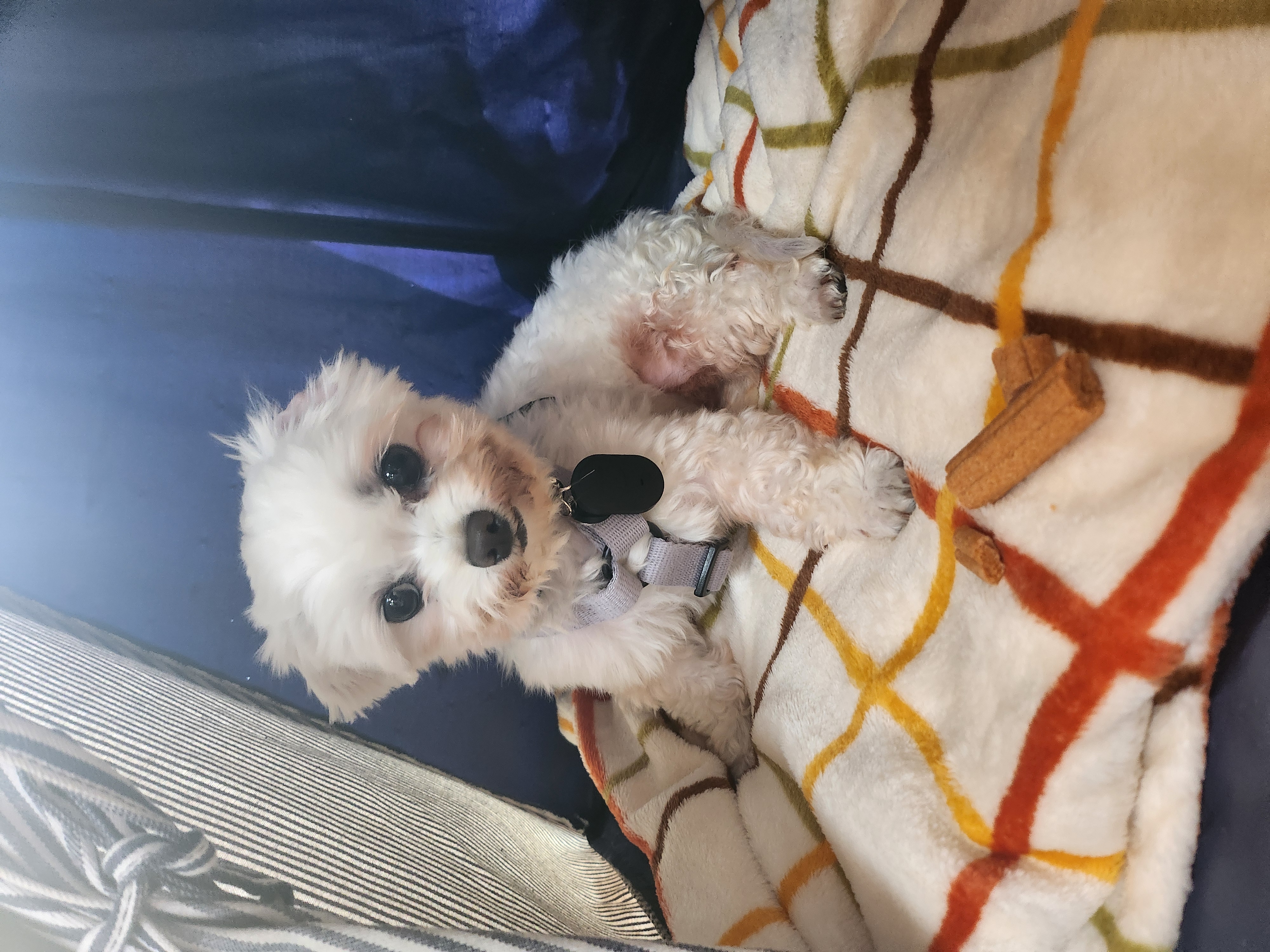 아직은 낮설군요~ (마린)