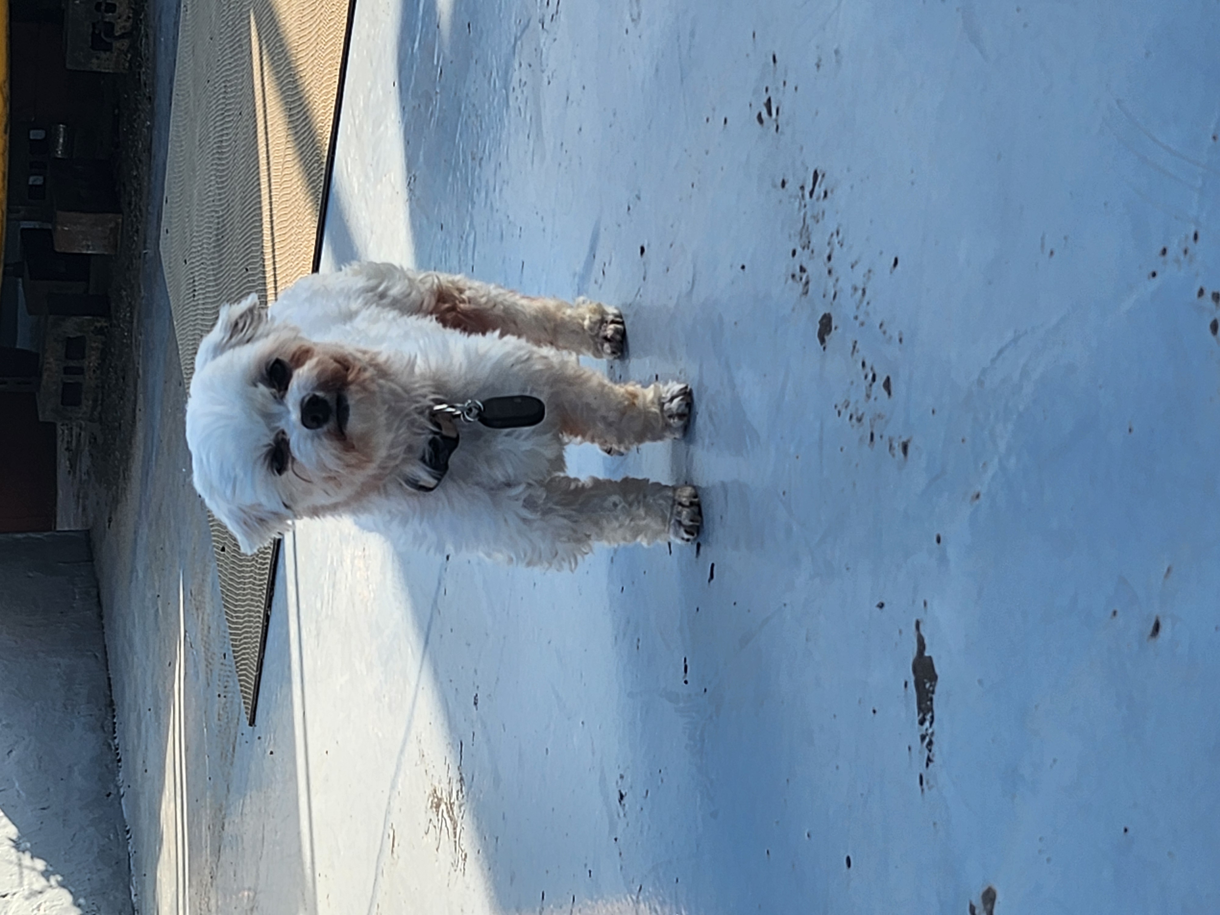 아직은 낮설군요~ (마린)