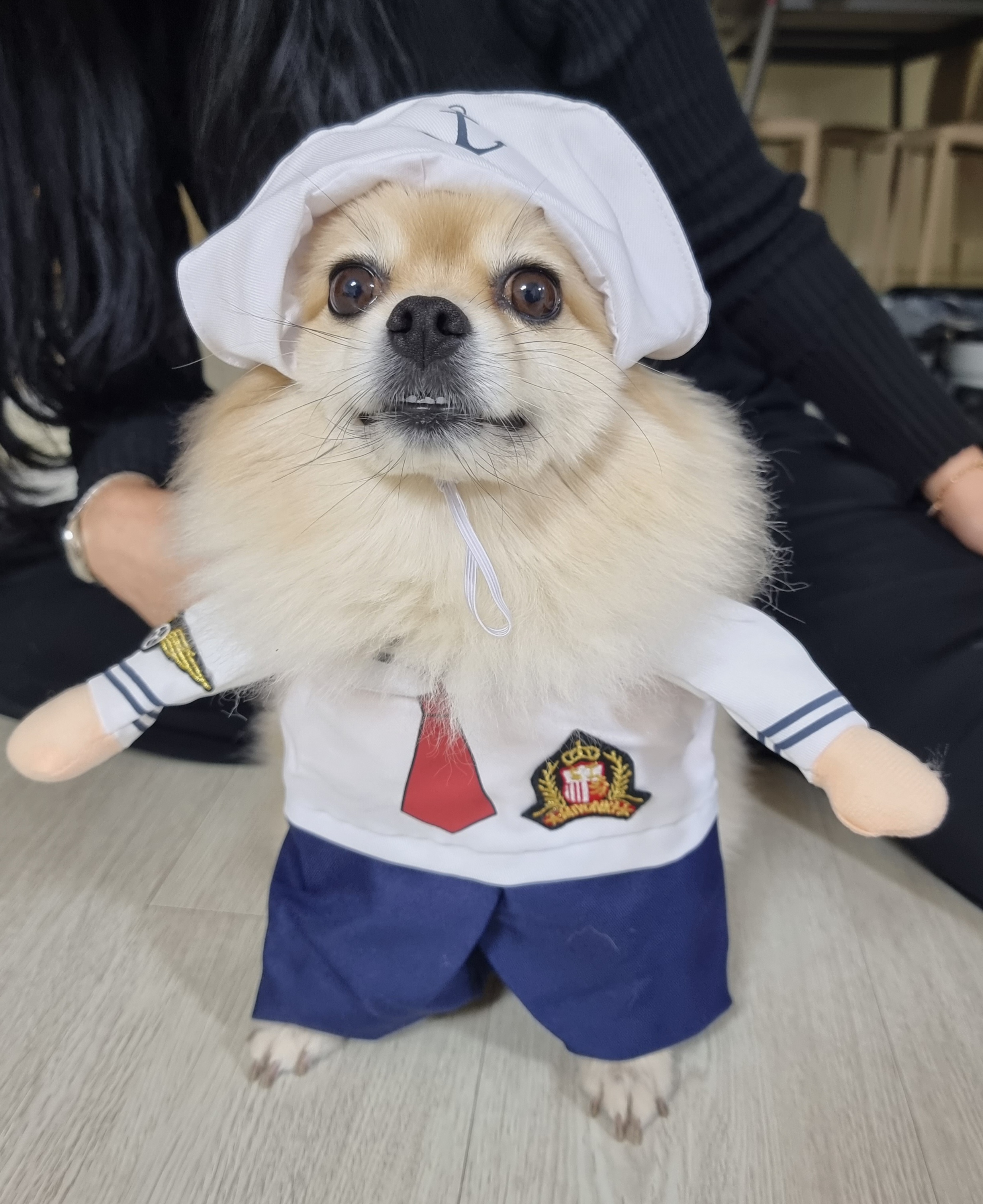 달이(온새)의 4주년♡