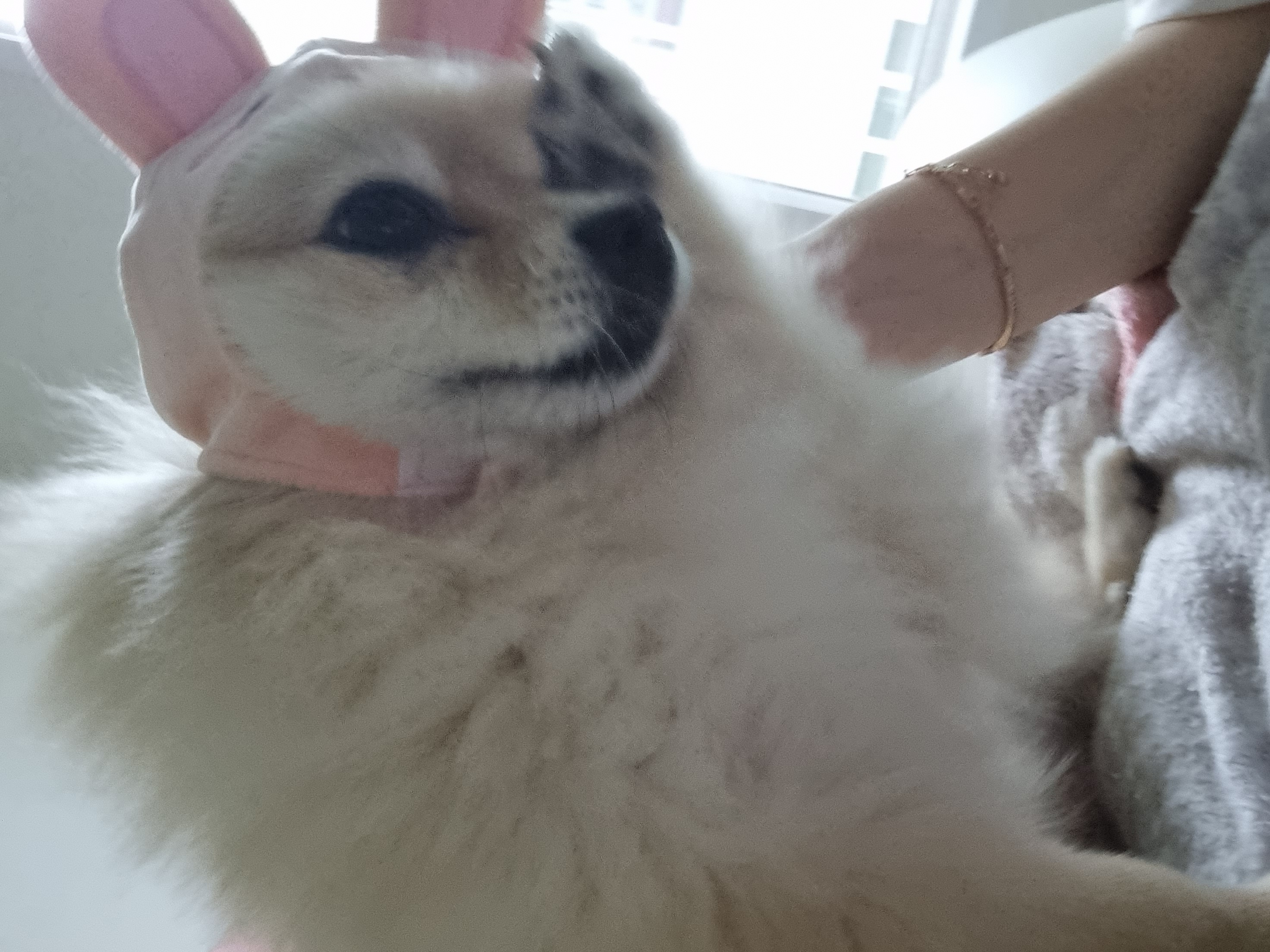 달이(온새)의 4주년♡