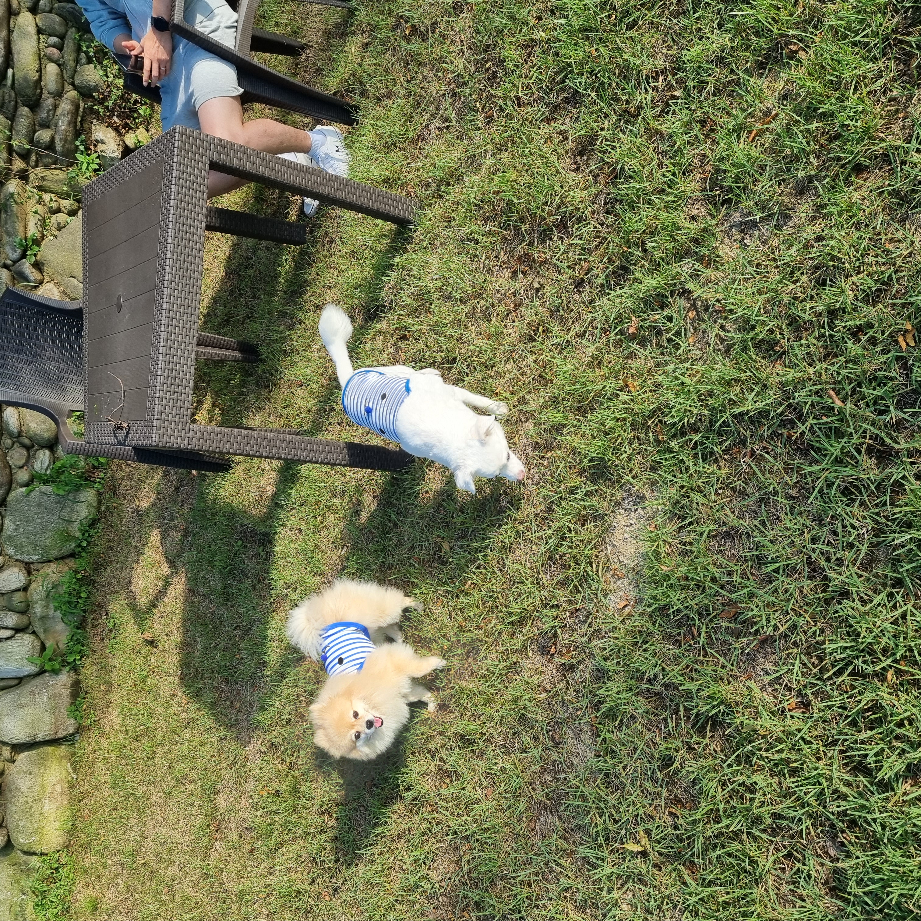 달이(온새)의 4주년♡