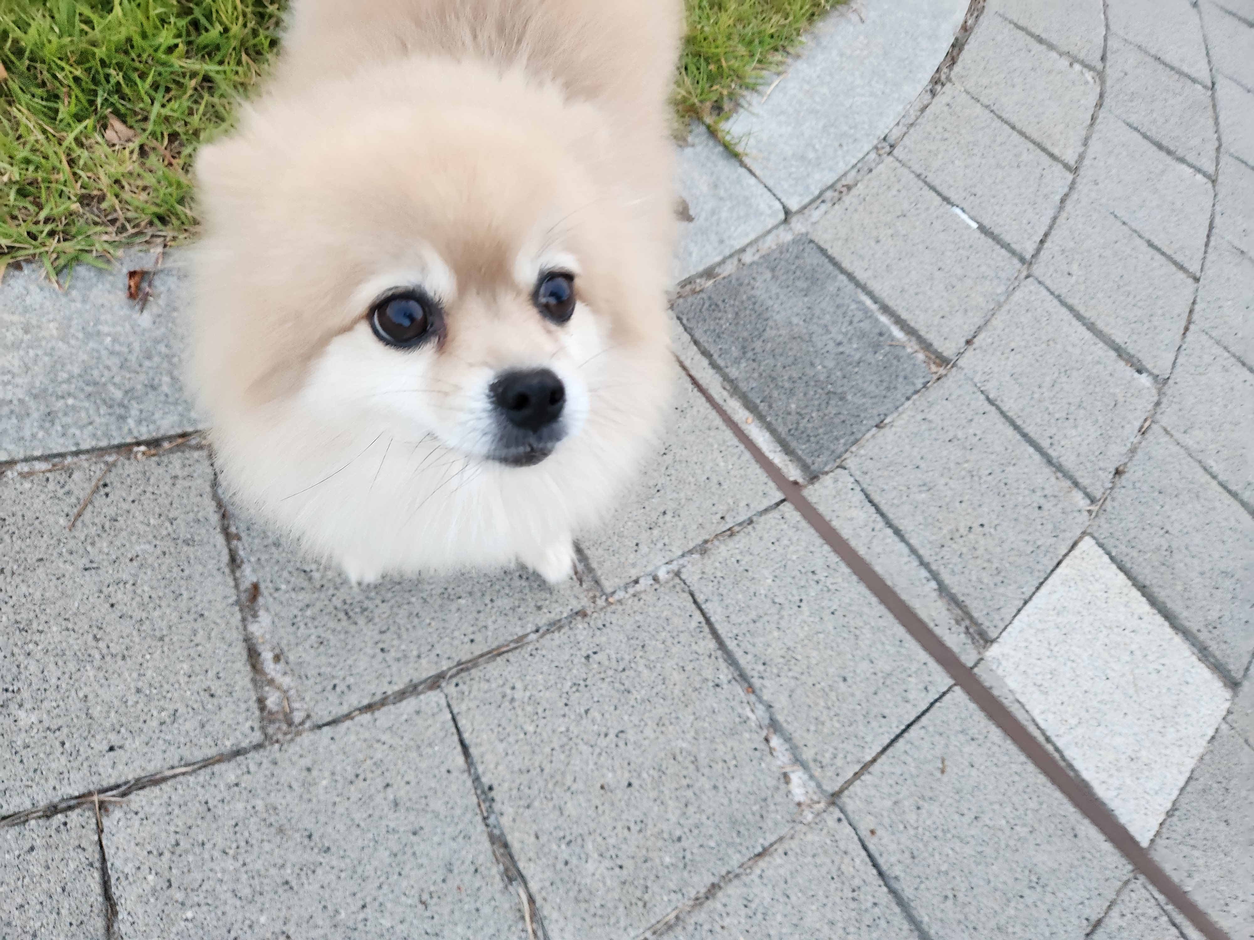 달이(온새)의 4주년♡