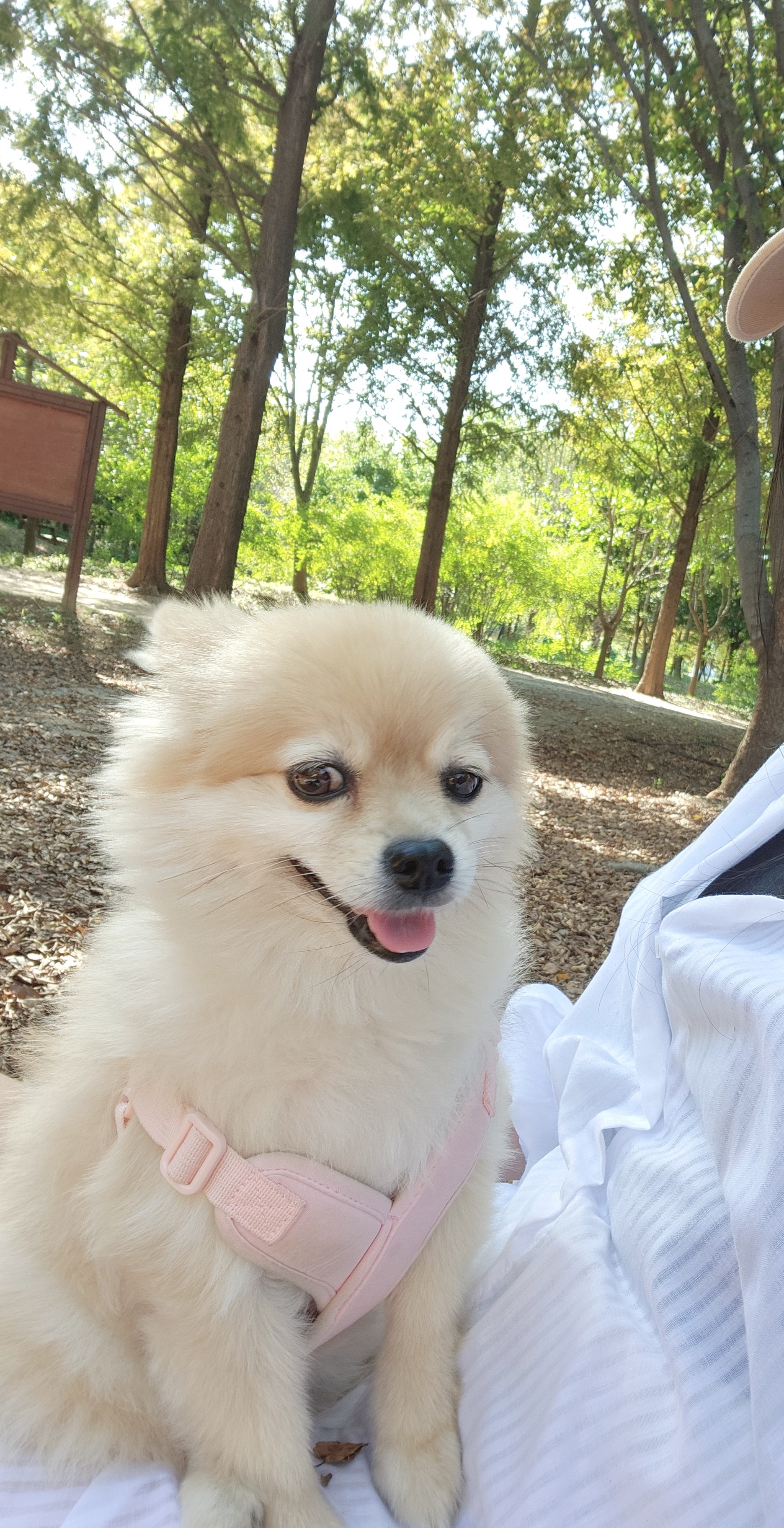 달이(온새)의 4주년♡