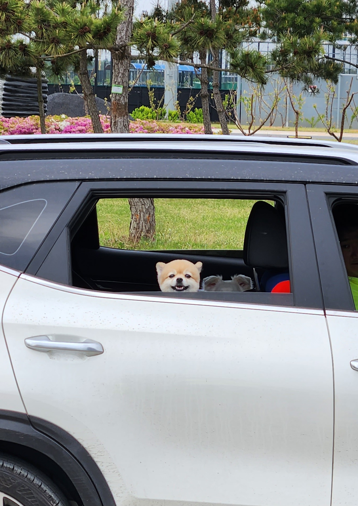 달이(온새)의 4주년♡