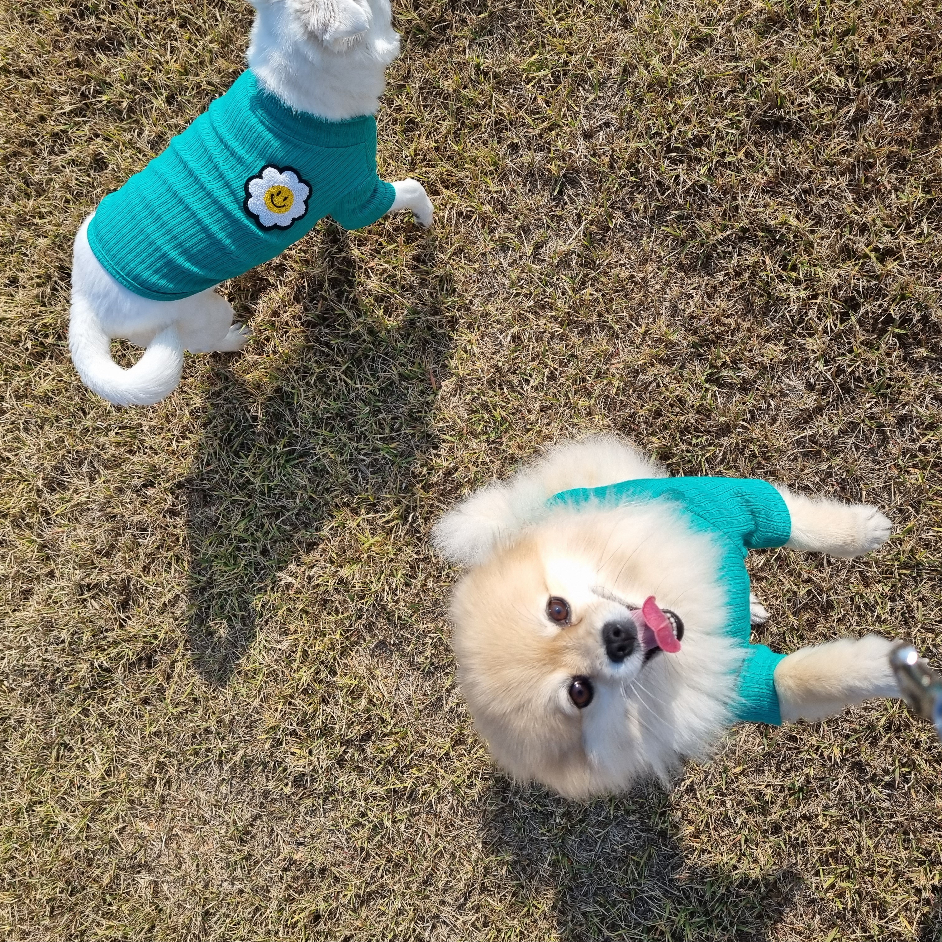 달이(온새)의 4주년♡