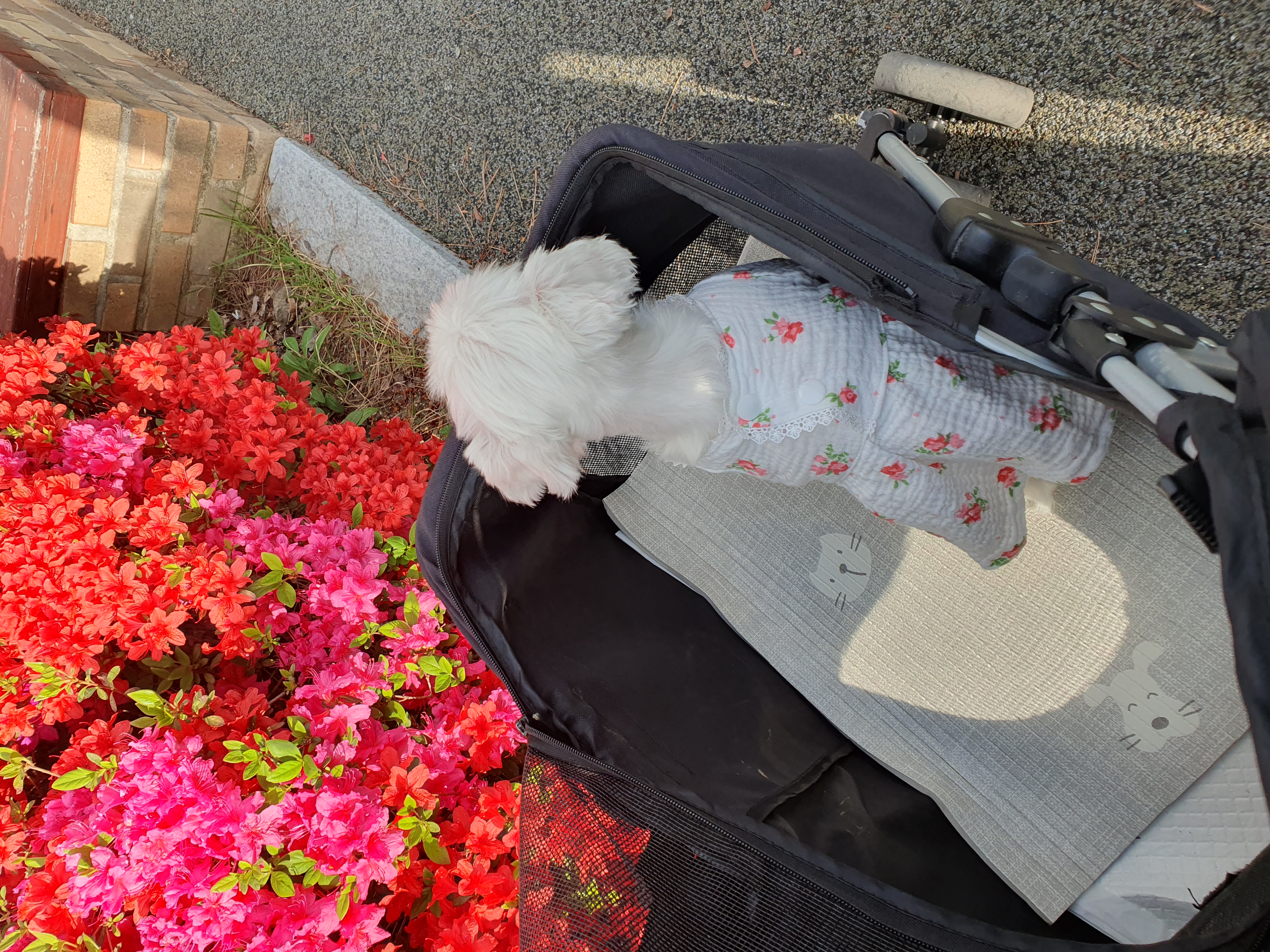 빈이 4년차 후기~♥︎