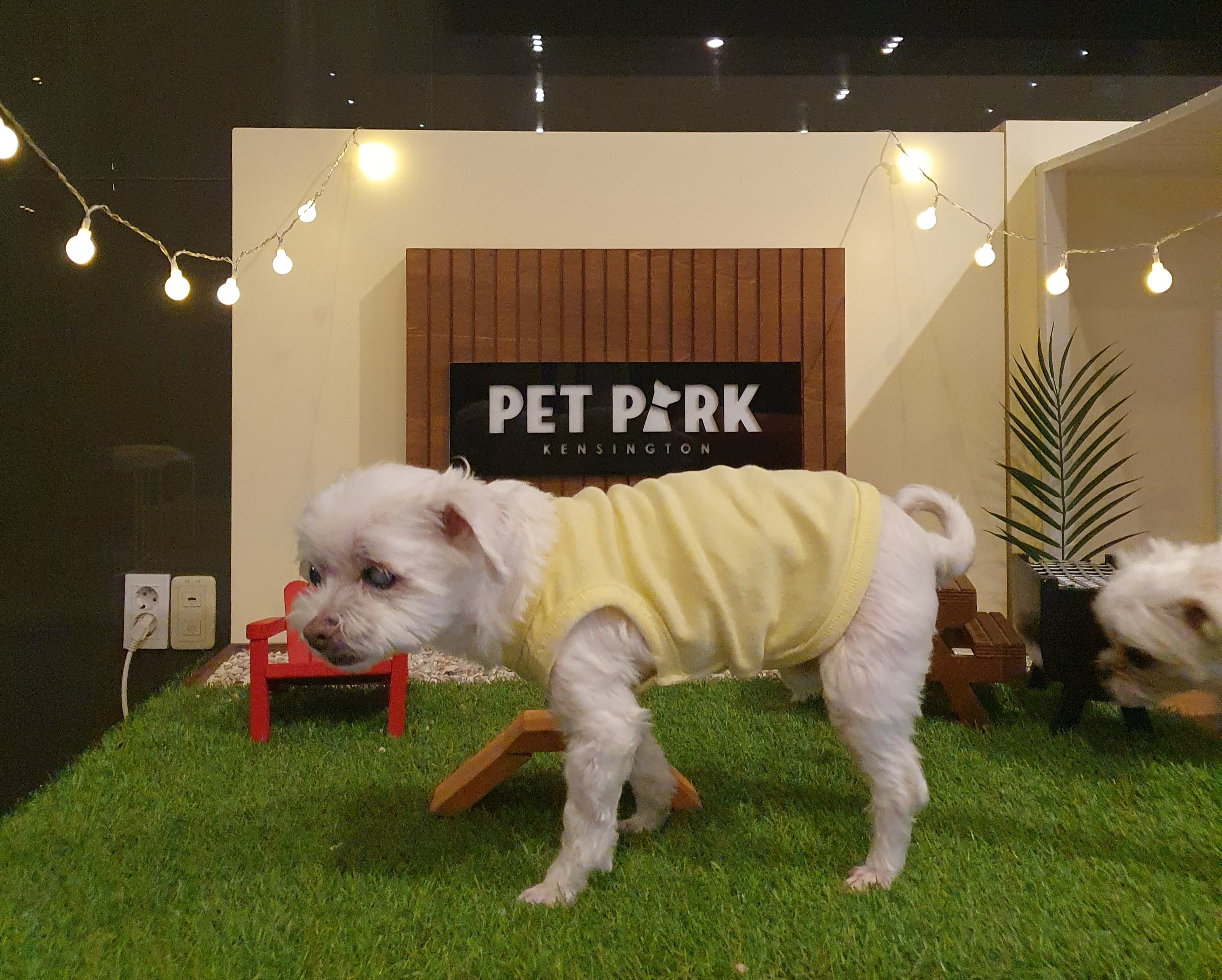 빈이 4년차 후기~♥︎