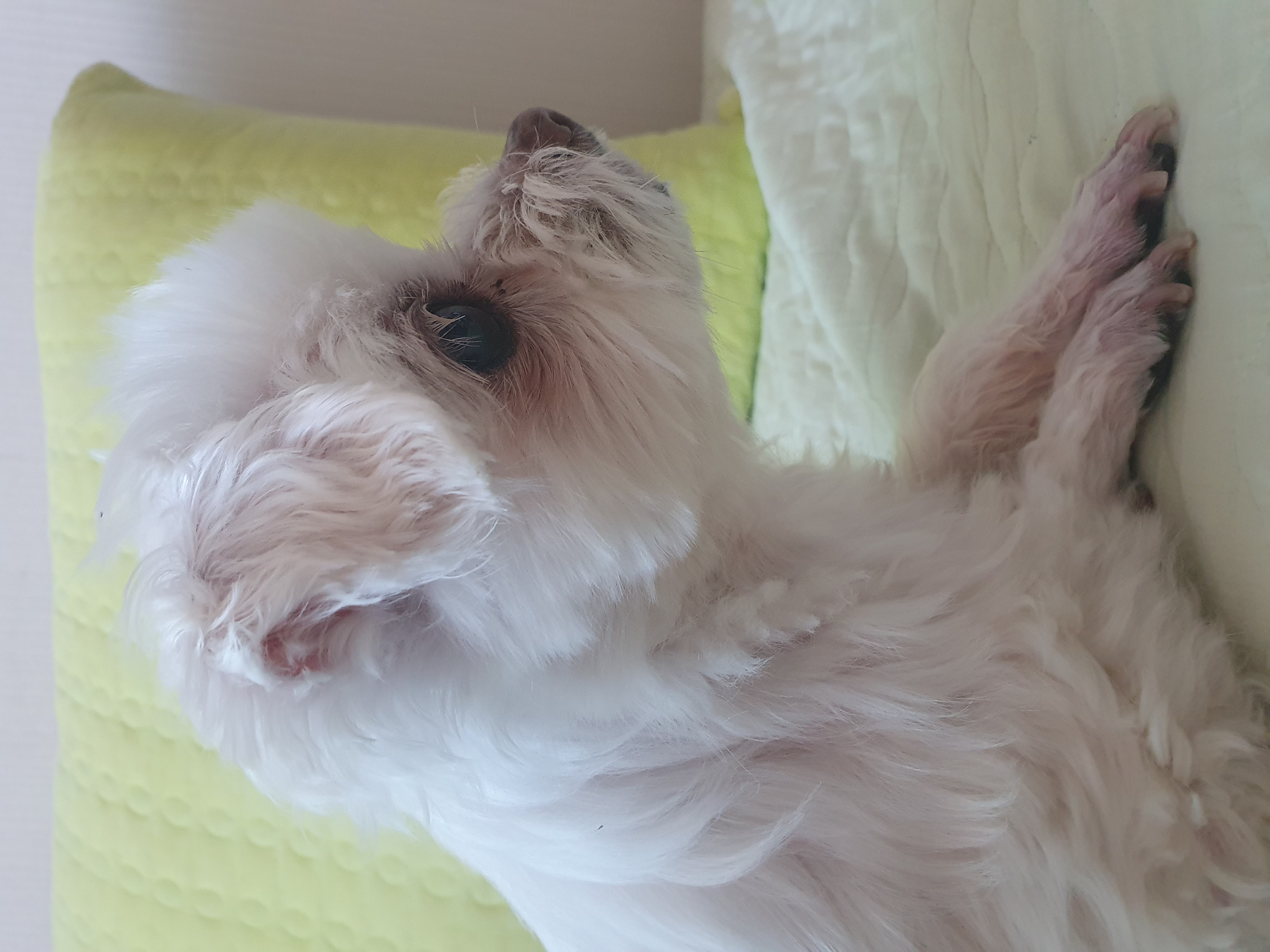 빈이 4년차 후기~♥︎