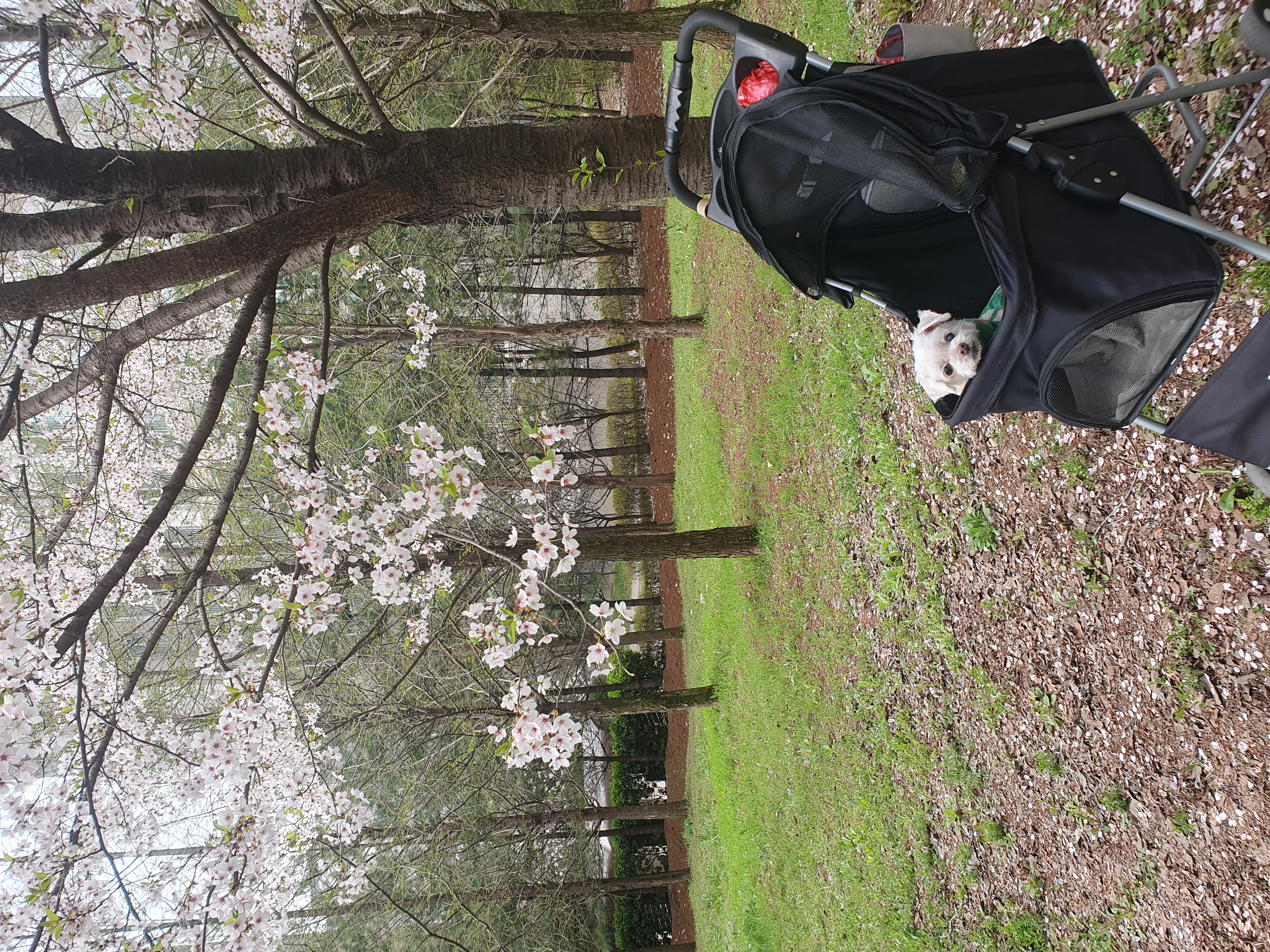 빈이 4년차 후기~♥︎