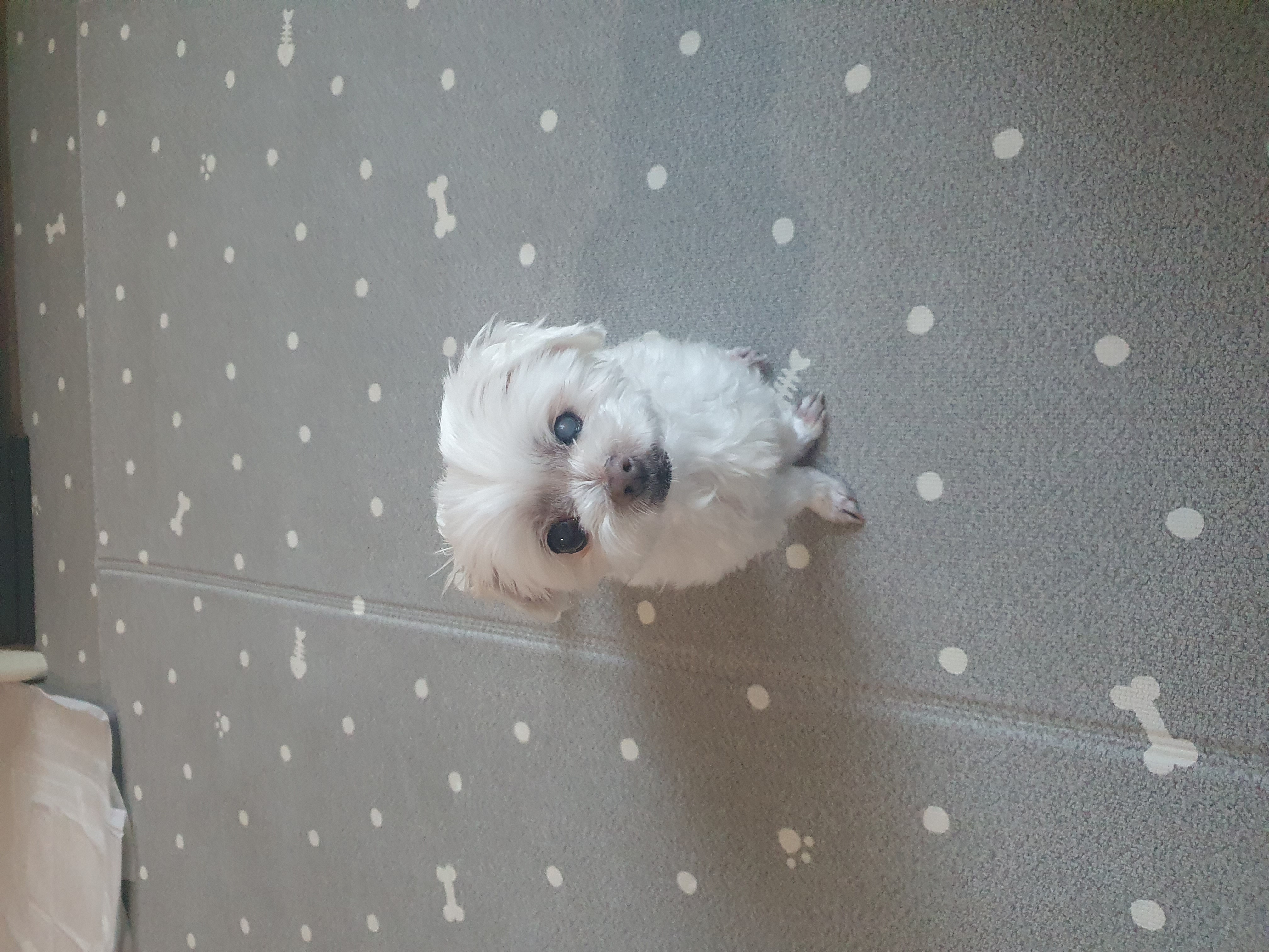 빈이 4년차 후기~♥︎