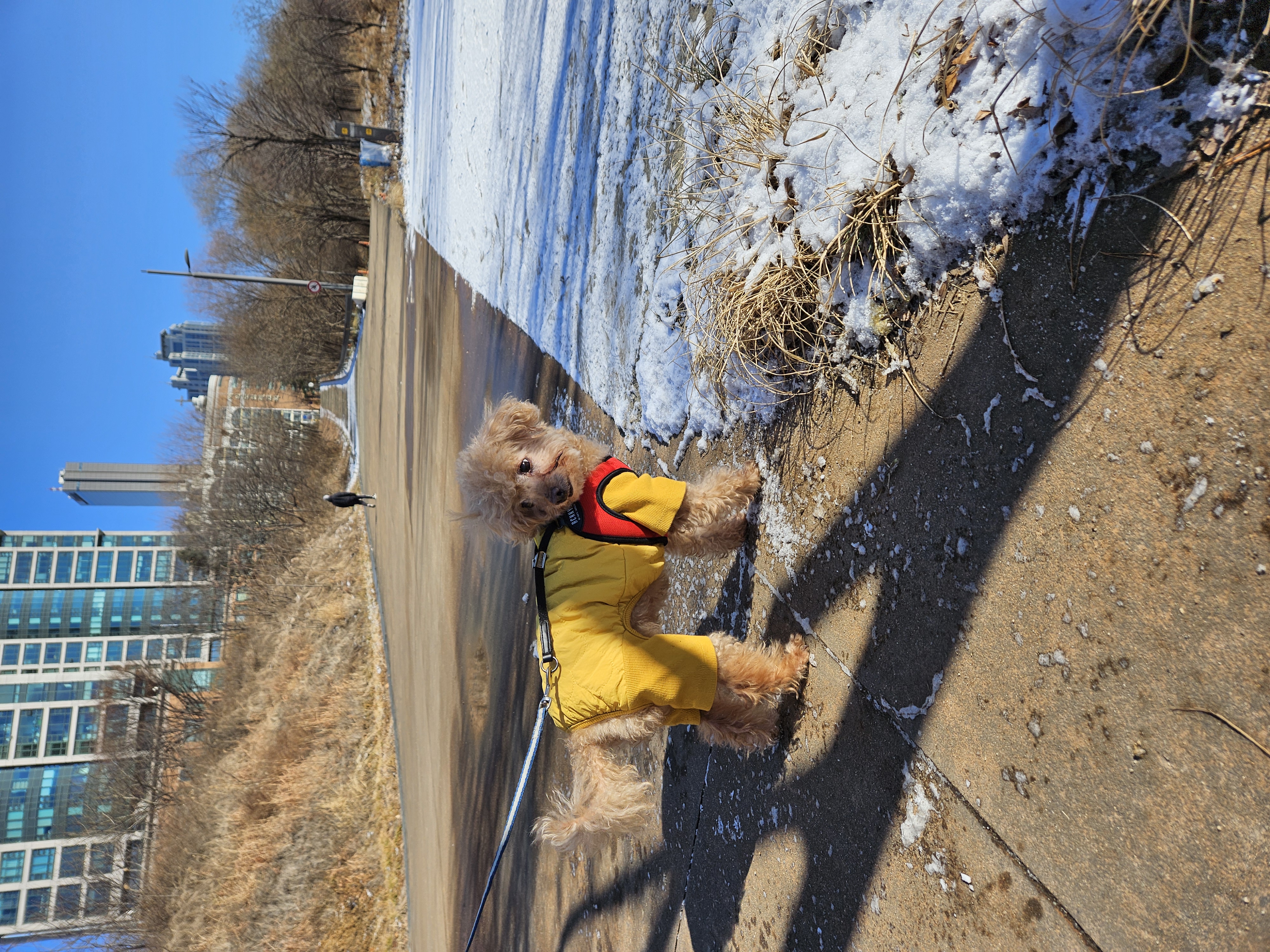 곤지암 팔랑이~~(지금은 버디^^)
