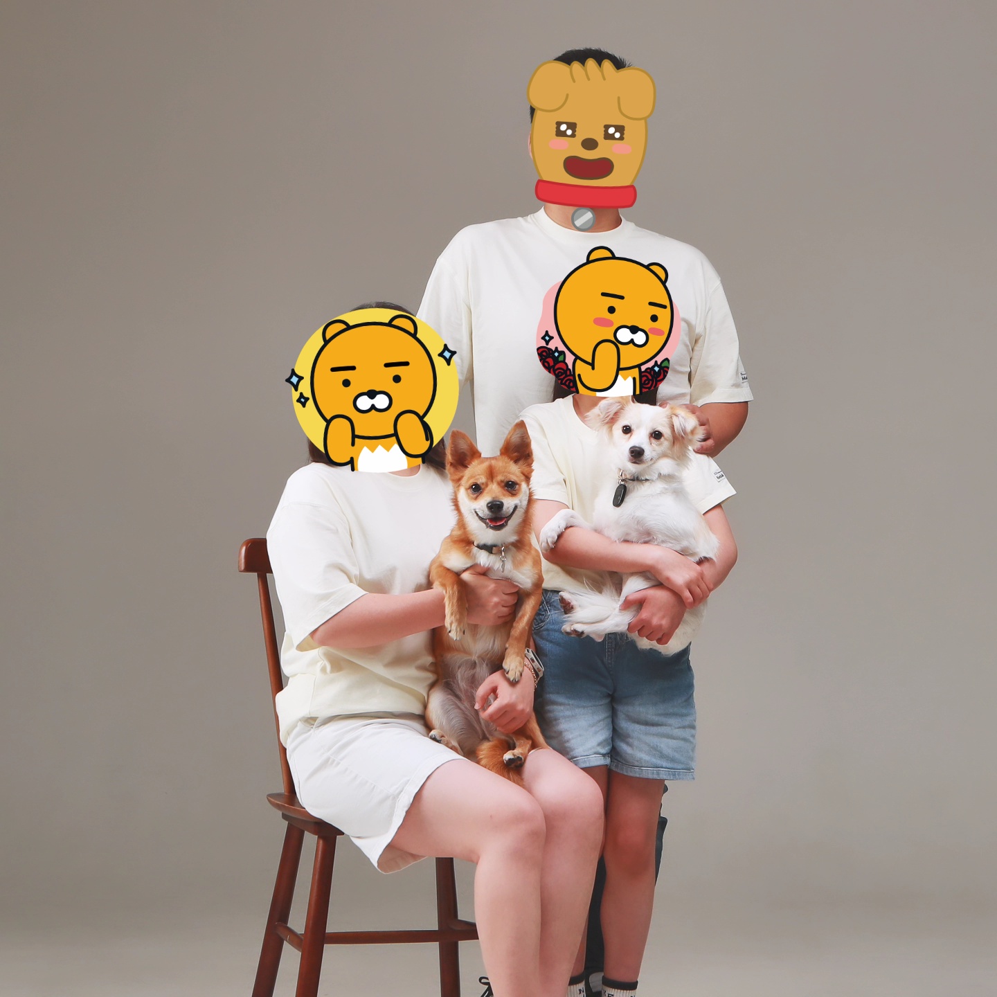 임보 중인 샛별이 2달 이야기