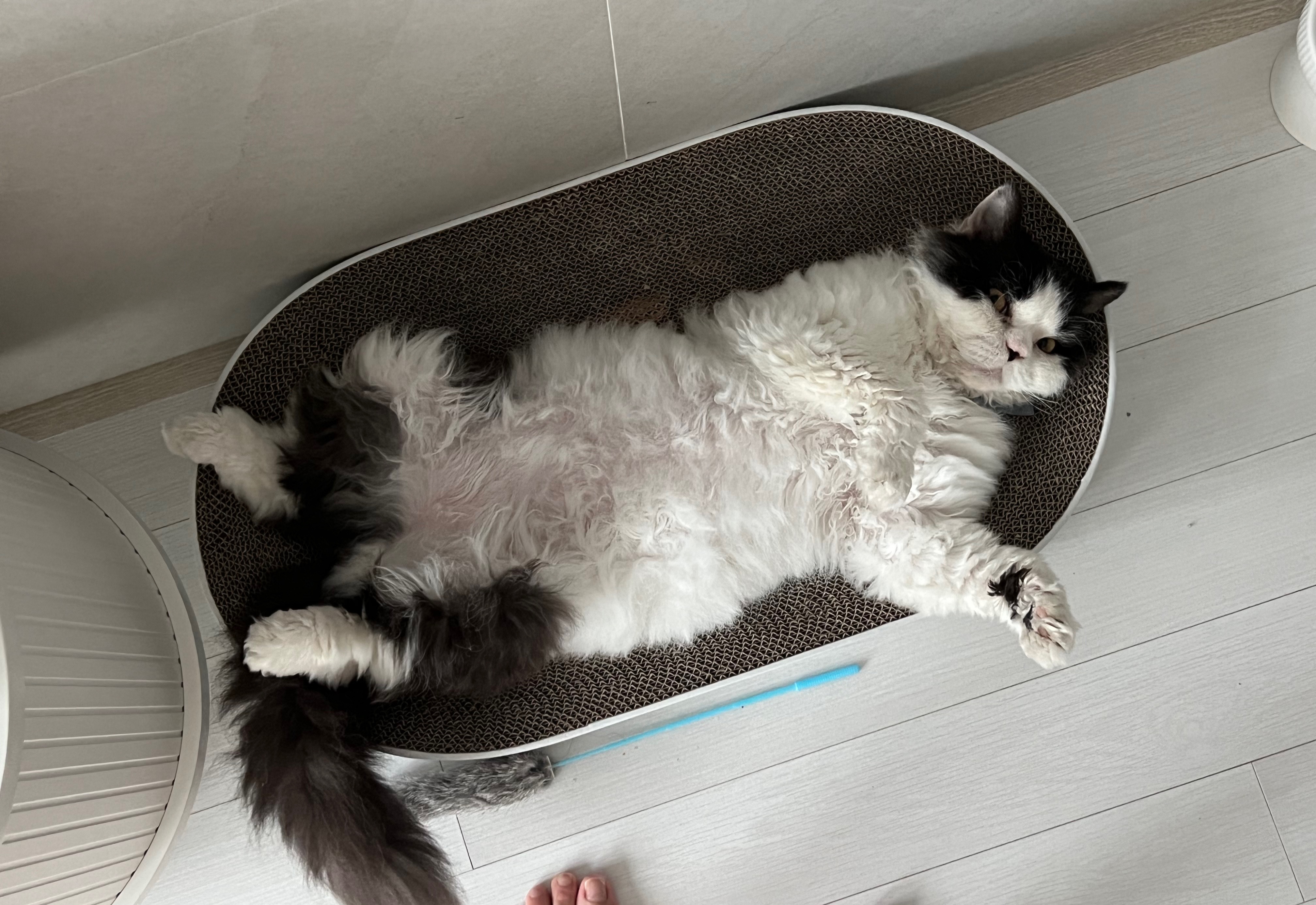 하루의 두번째 하루