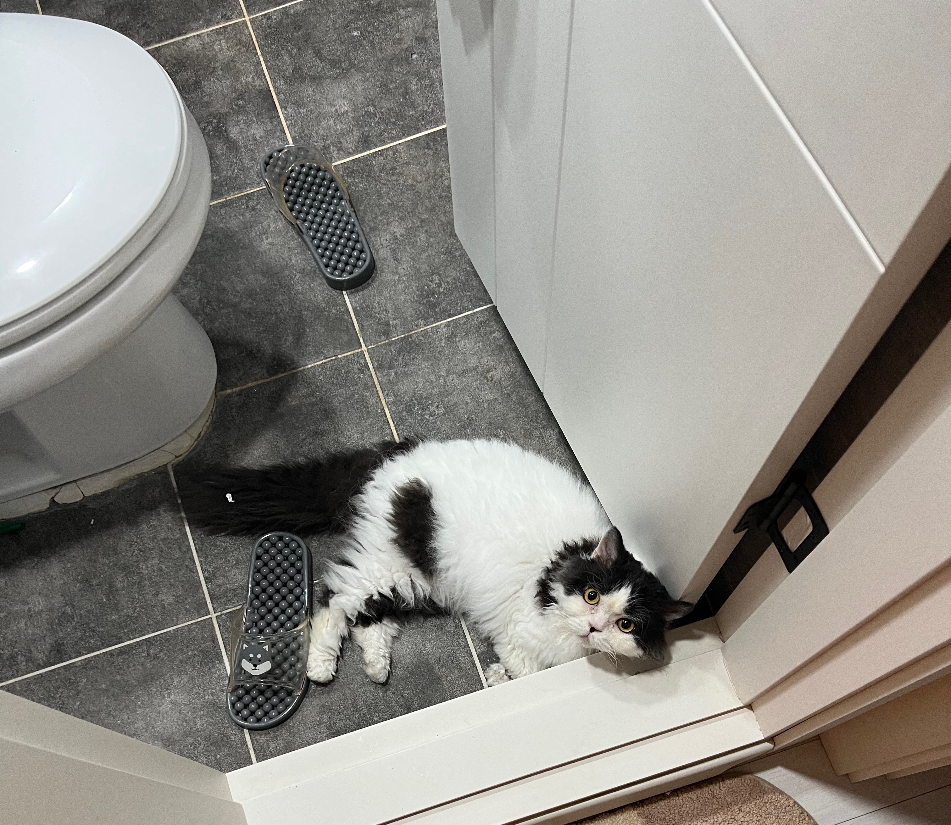 하루의 두번째 하루