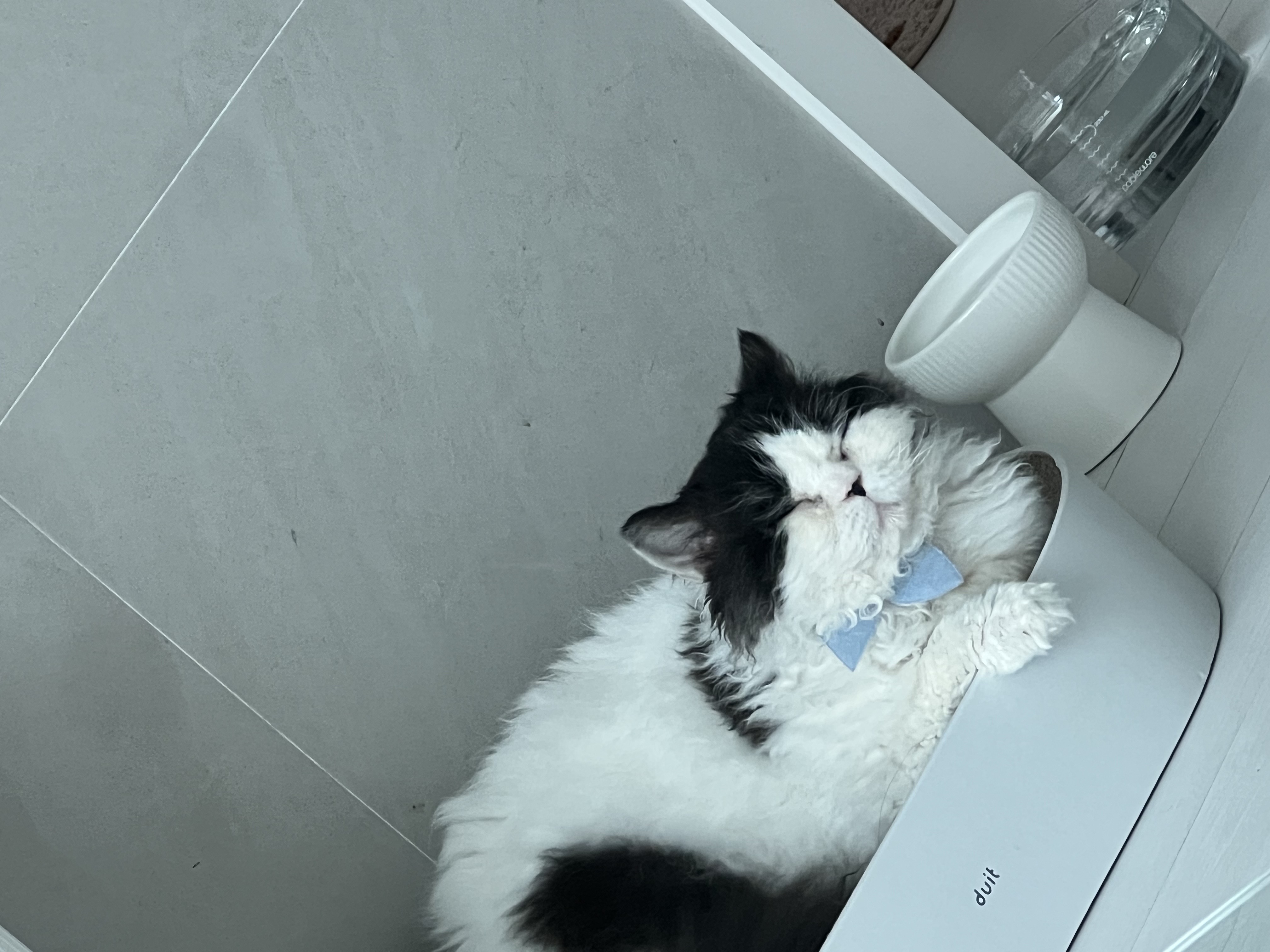 하루의 두번째 하루