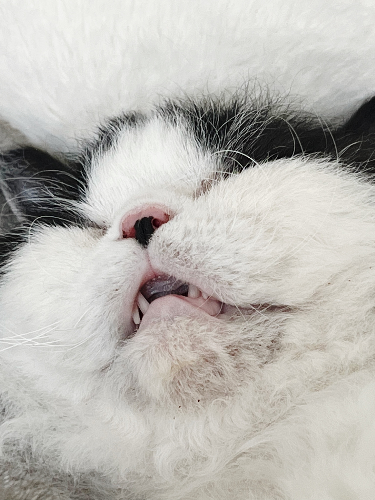 하루의 두번째 하루