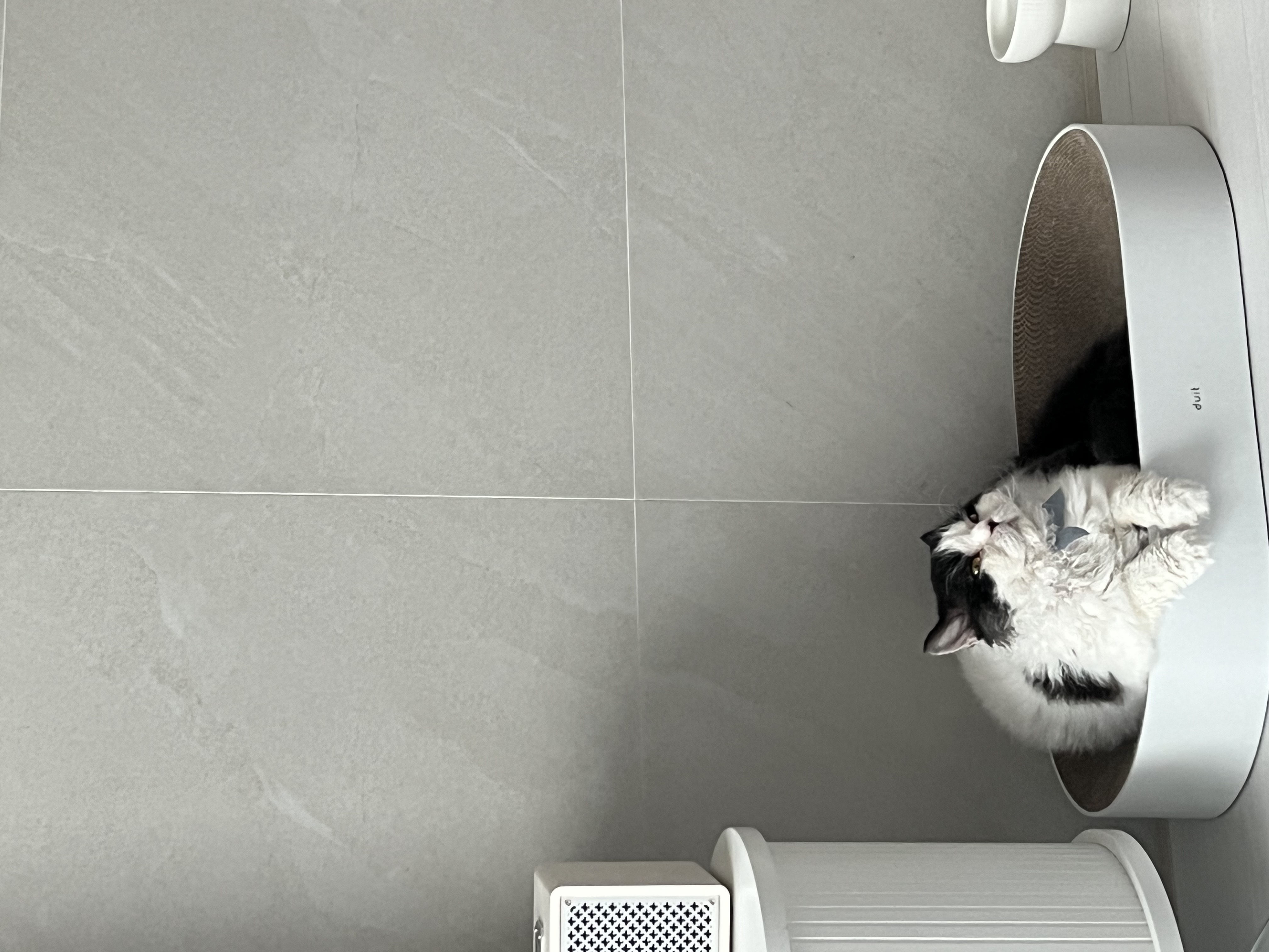 하루의 두번째 하루