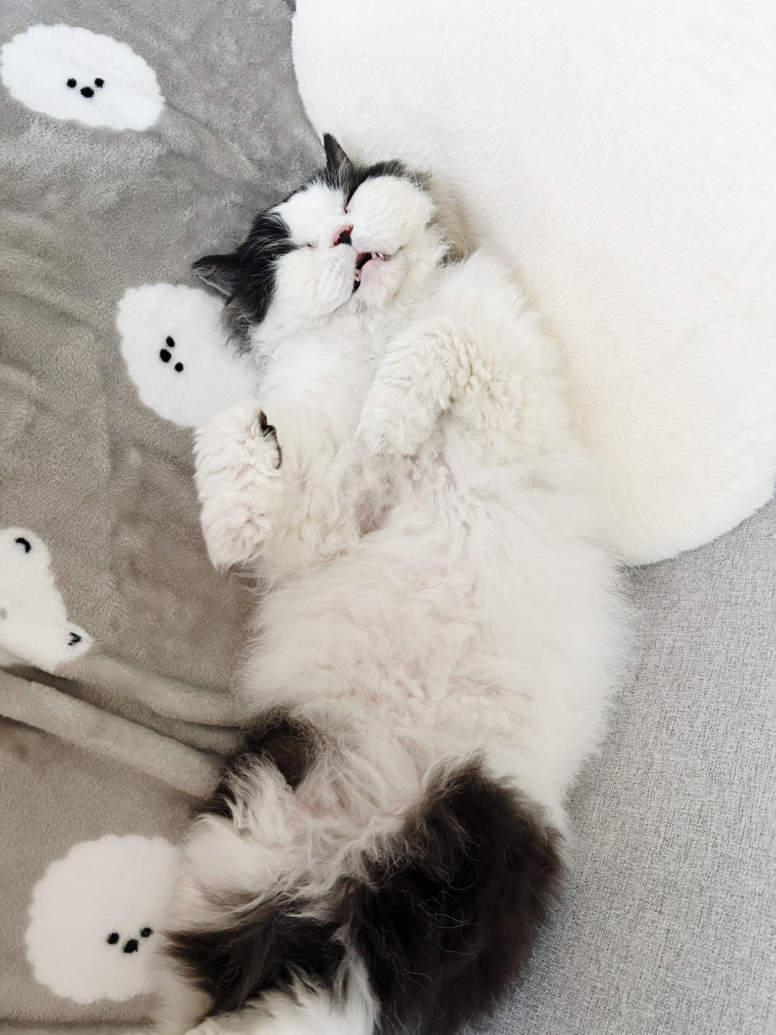 하루의 두번째 하루