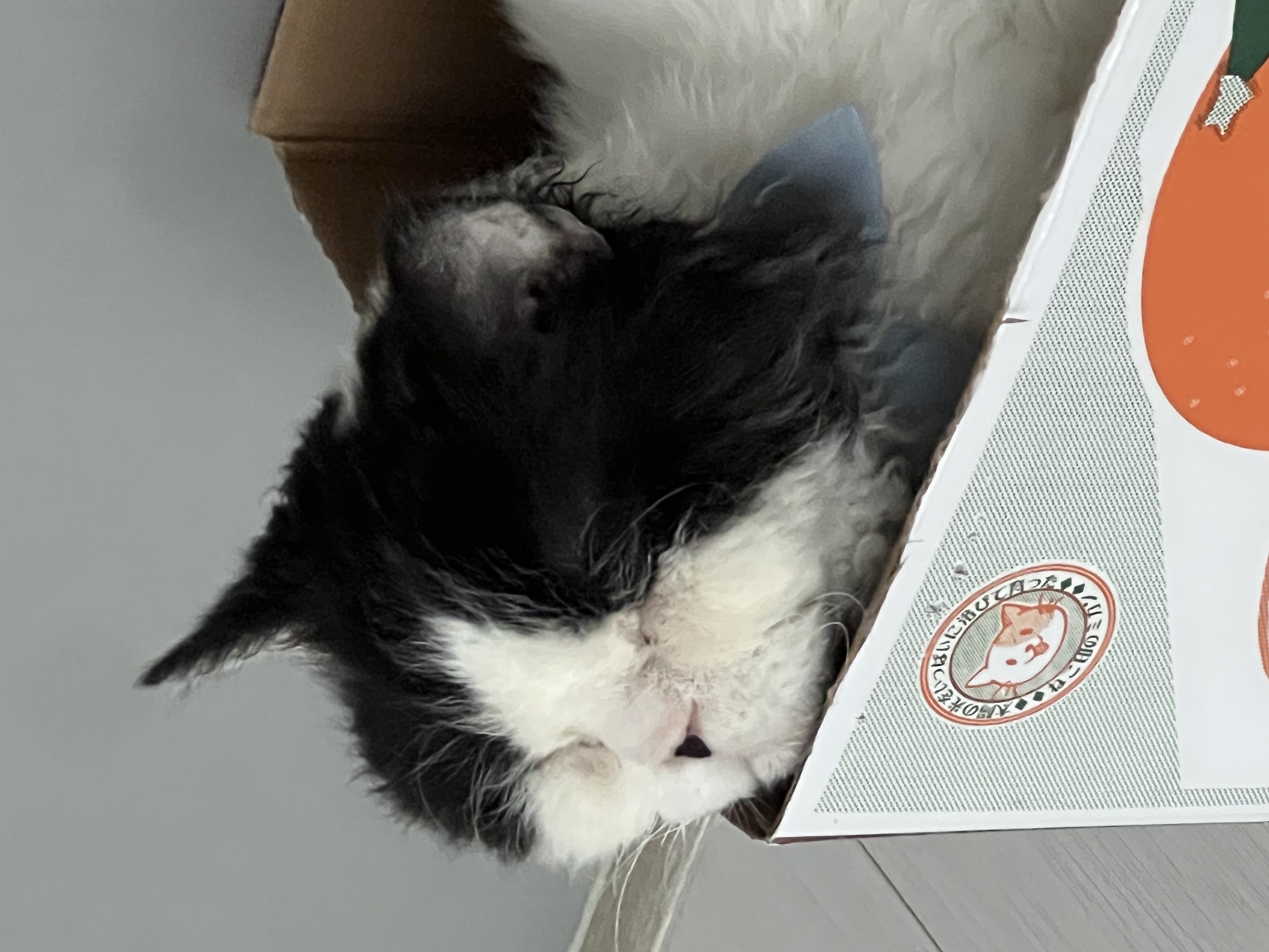 하루의 두번째 하루