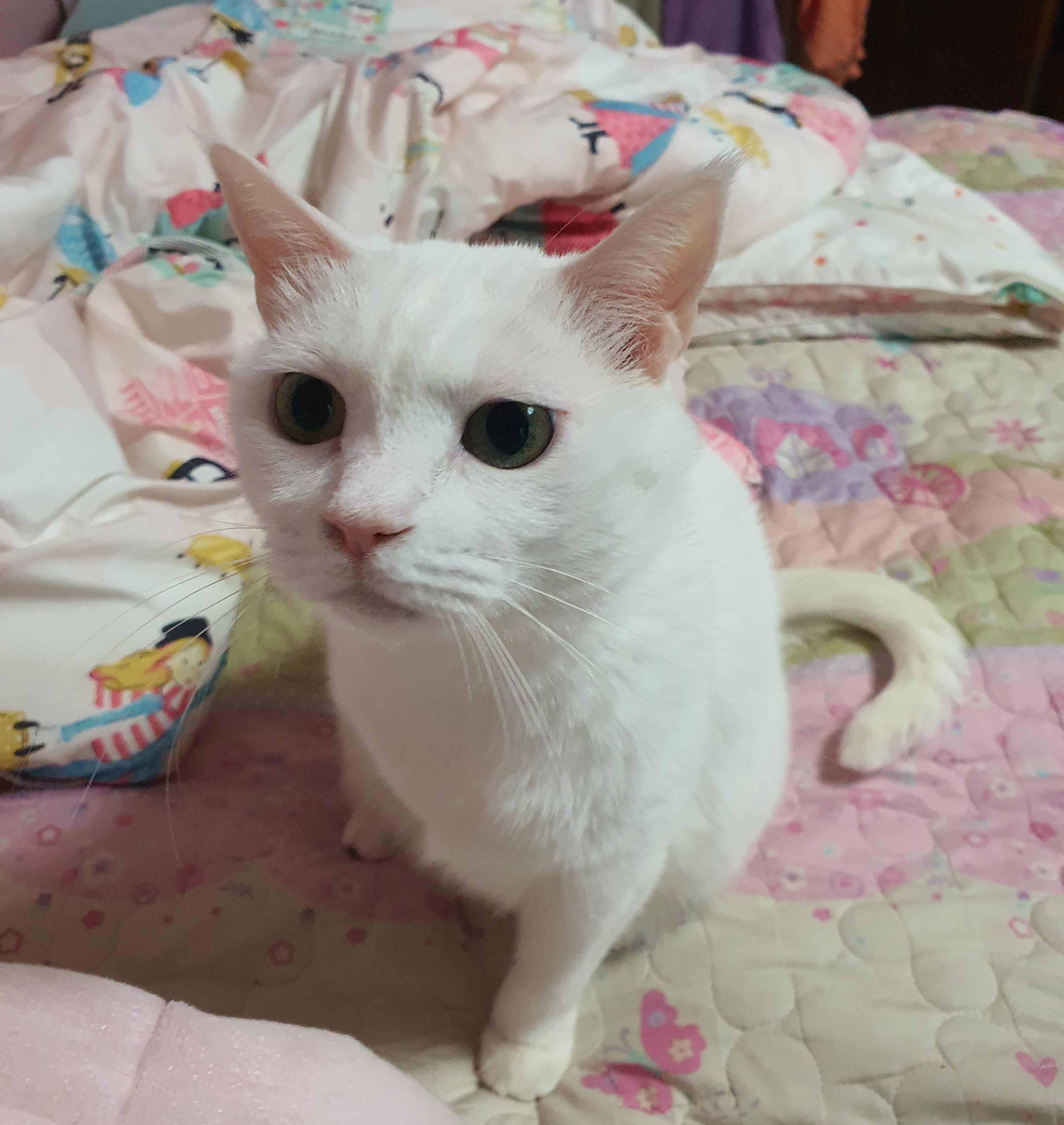 하트의 요즘....^^