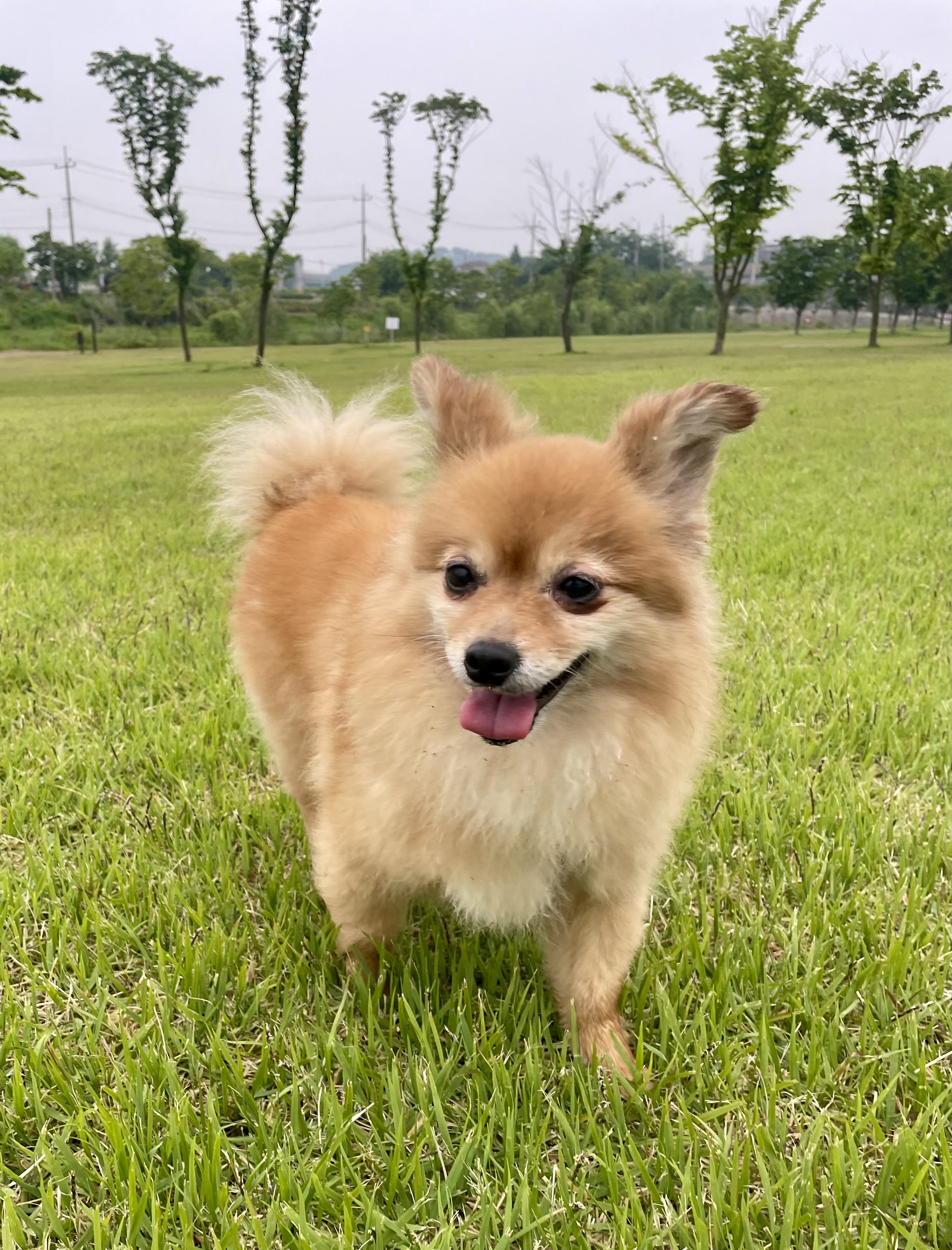 티거(곤지암-워터) 벌써 3년됐네요~