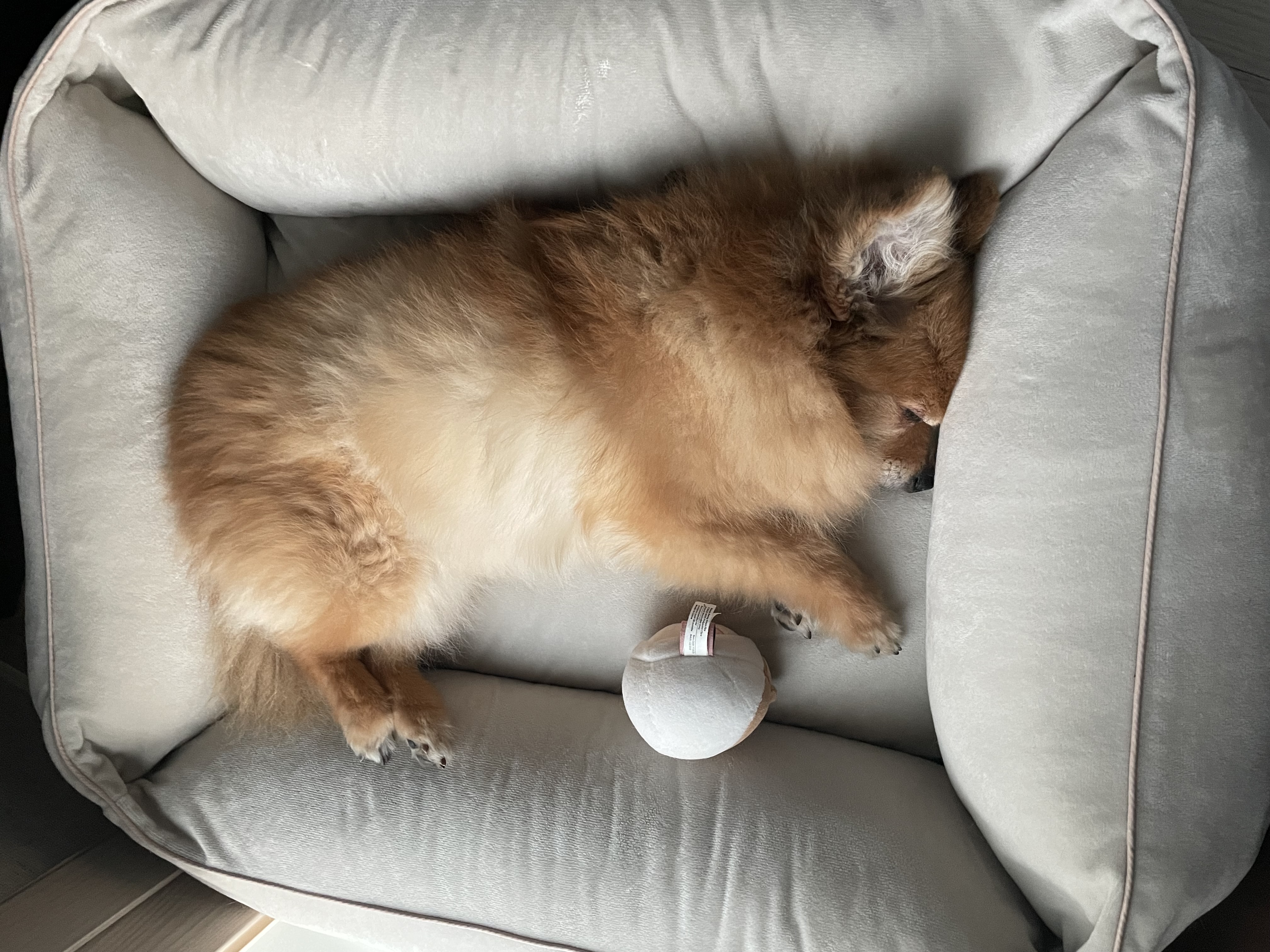 티거(곤지암-워터) 벌써 3년됐네요~