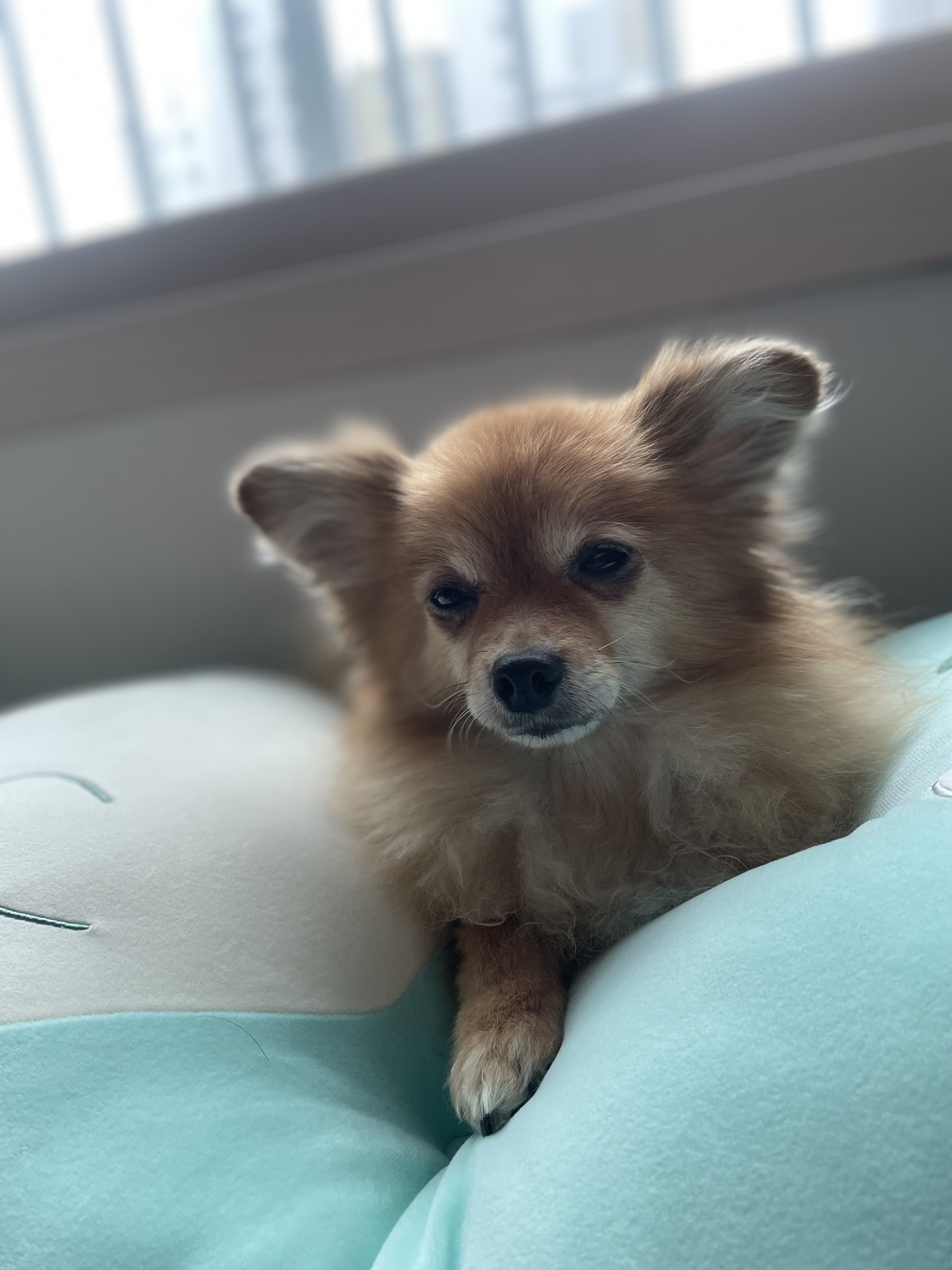 티거(곤지암-워터) 벌써 3년됐네요~