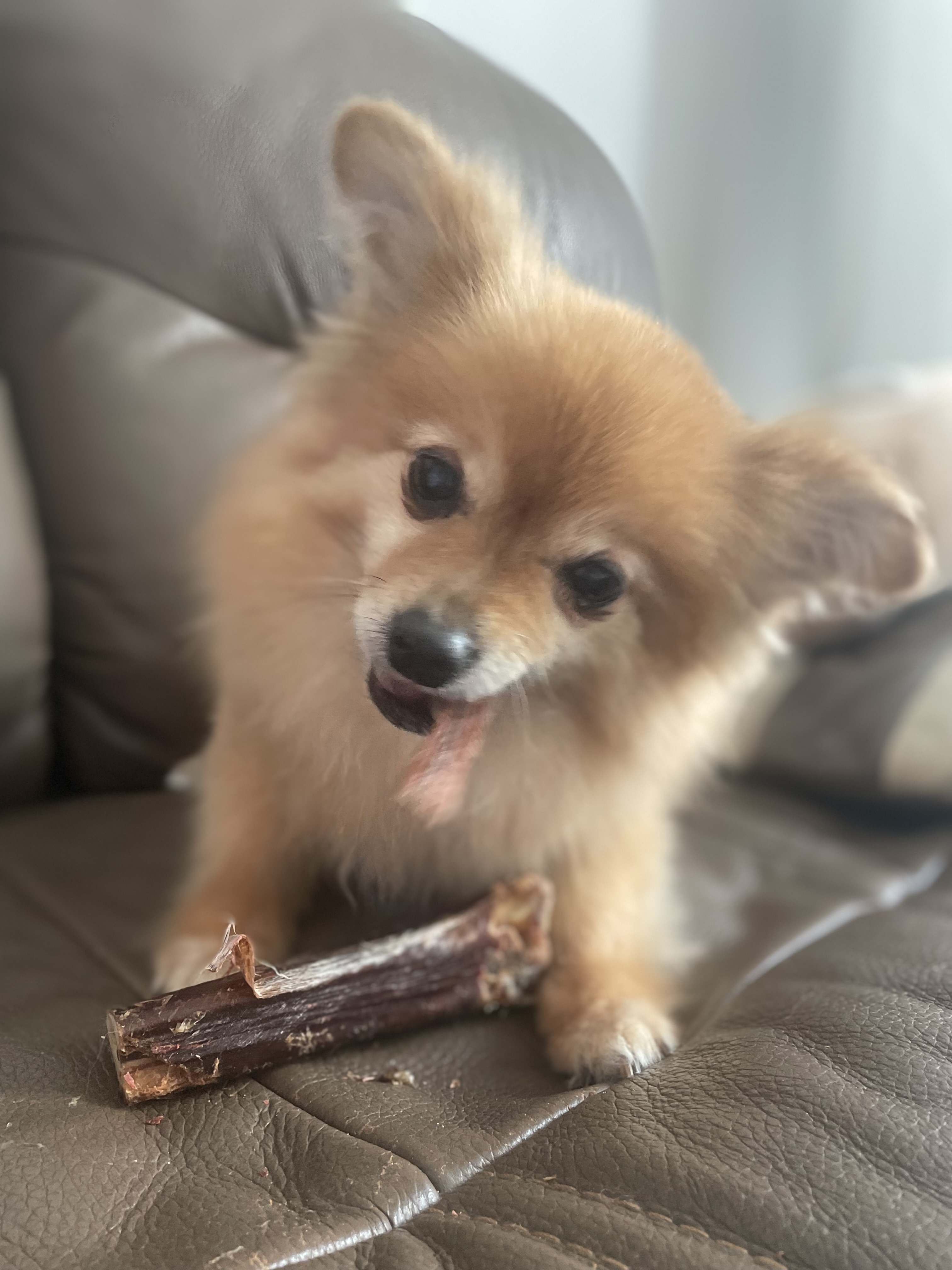 티거(곤지암-워터) 벌써 3년됐네요~